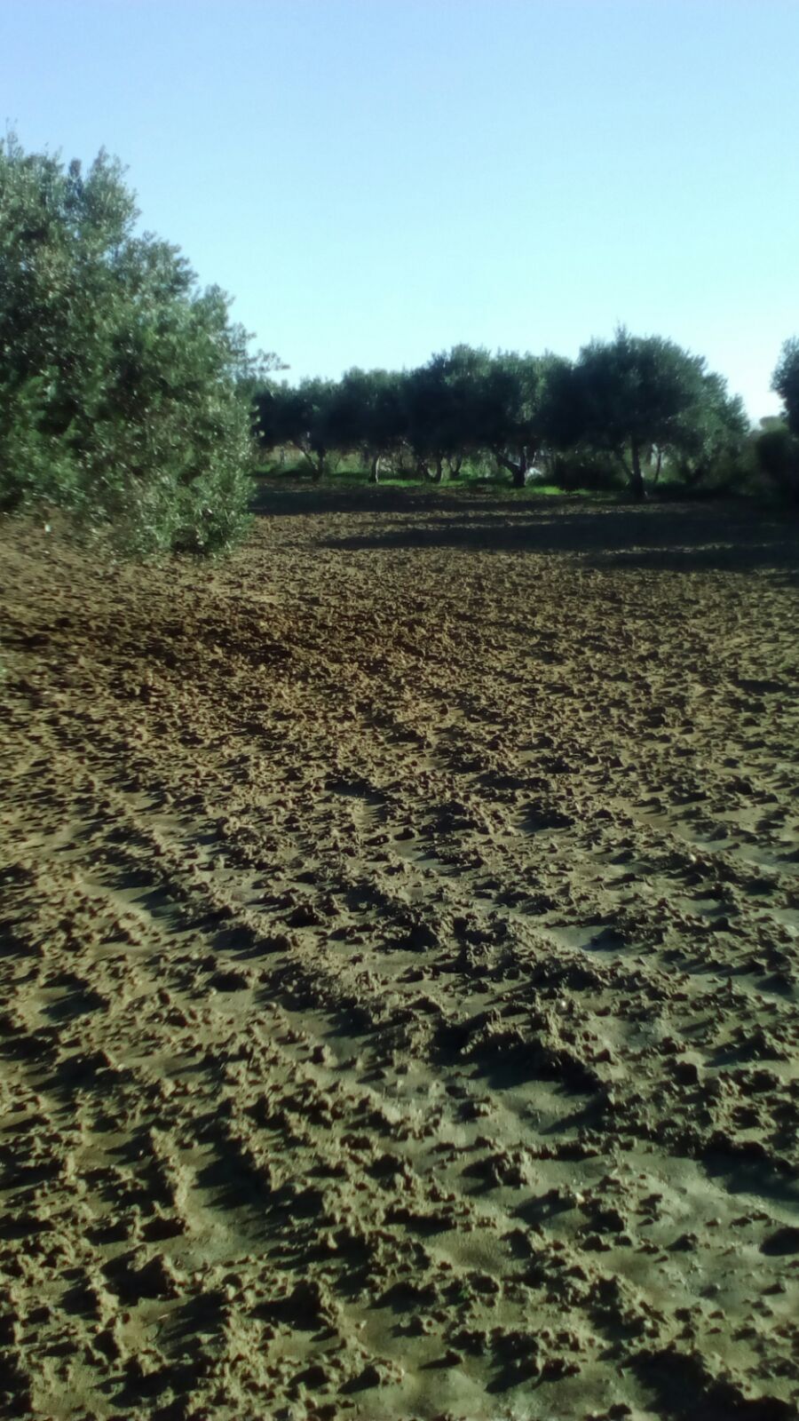 For sale of land in Chiclana de la Frontera