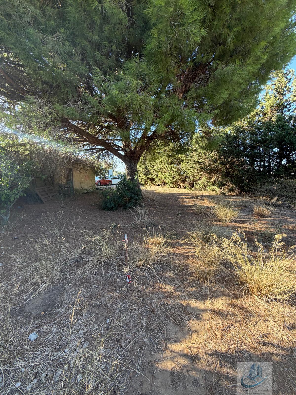 Venta de finca rústica en Chiclana de la Frontera