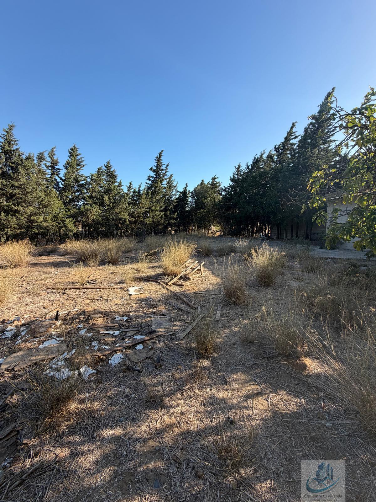 Venta de finca rústica en Chiclana de la Frontera
