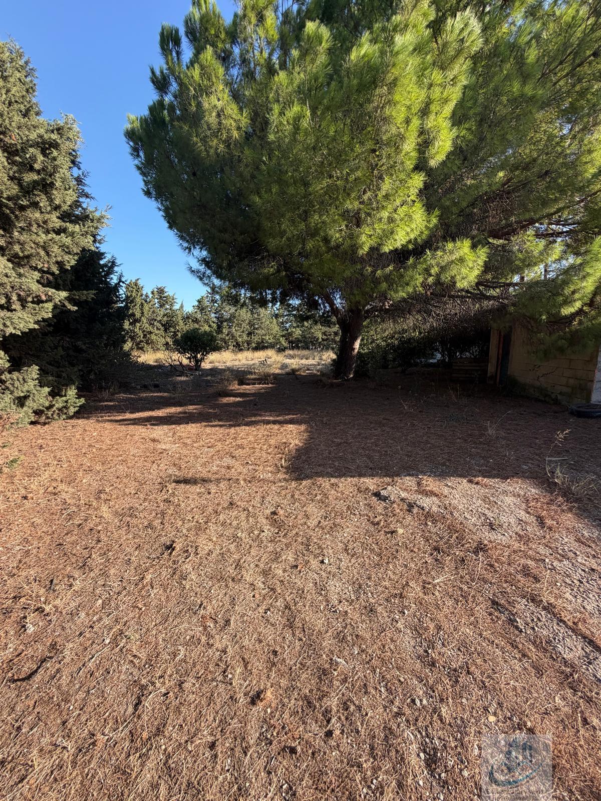 Venta de finca rústica en Chiclana de la Frontera