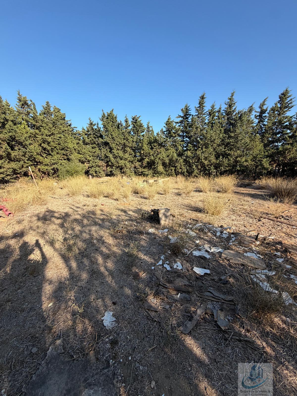 Venta de finca rústica en Chiclana de la Frontera