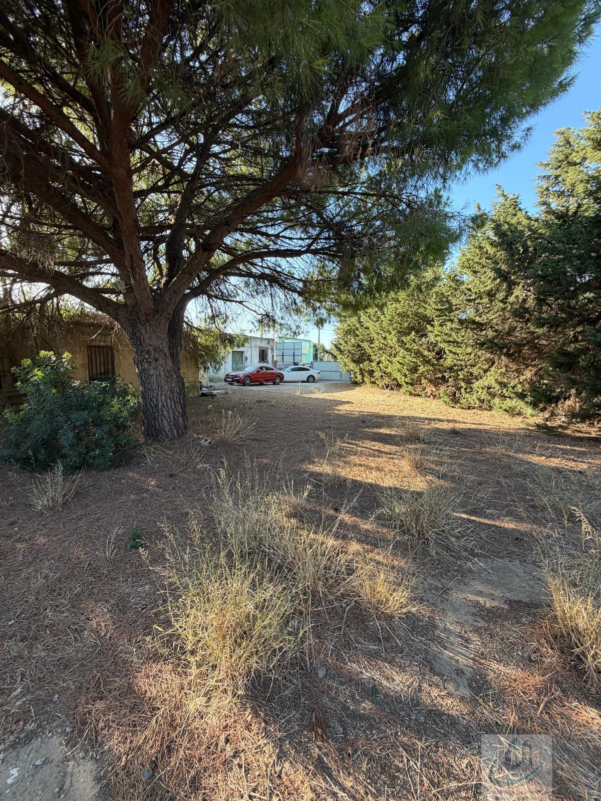 Venta de finca rústica en Chiclana de la Frontera