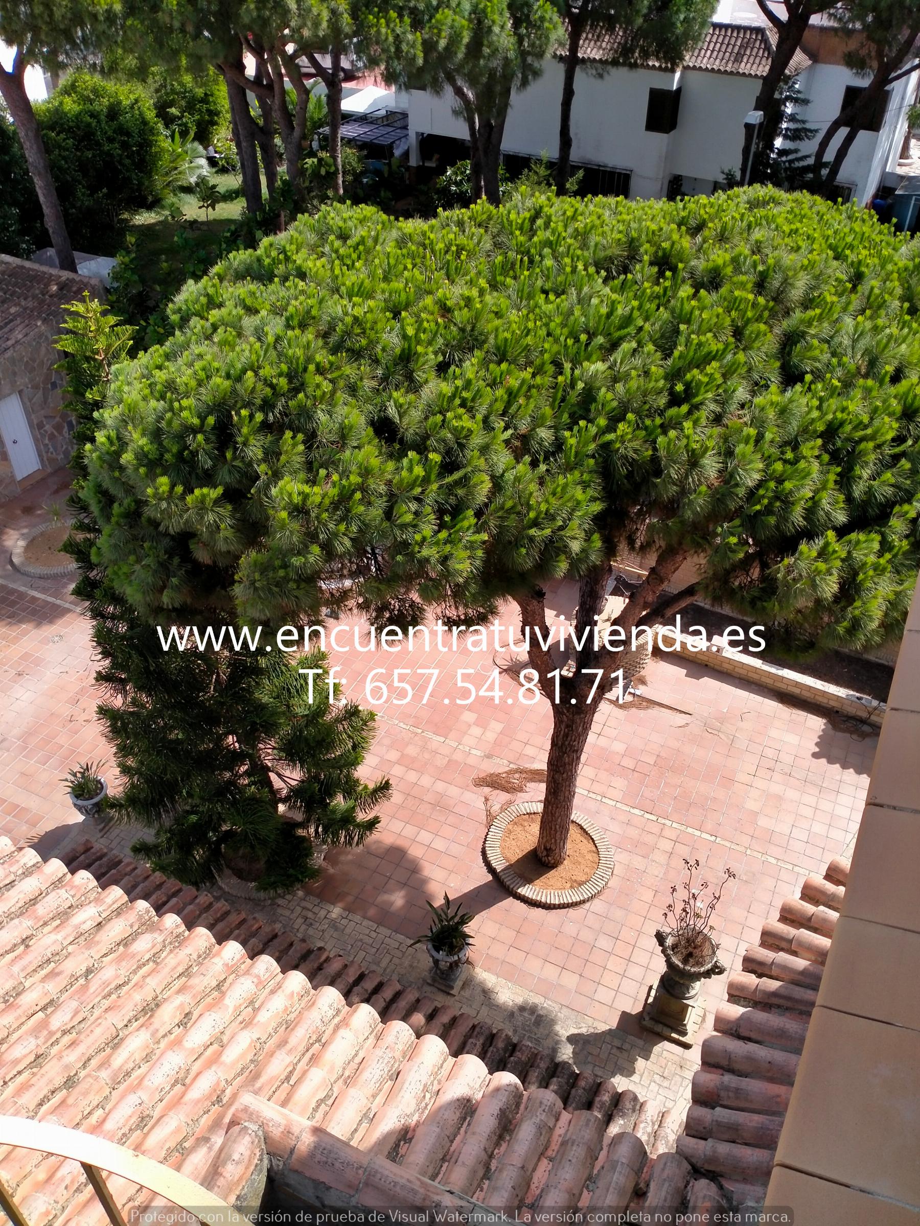 For sale of chalet in Chiclana de la Frontera