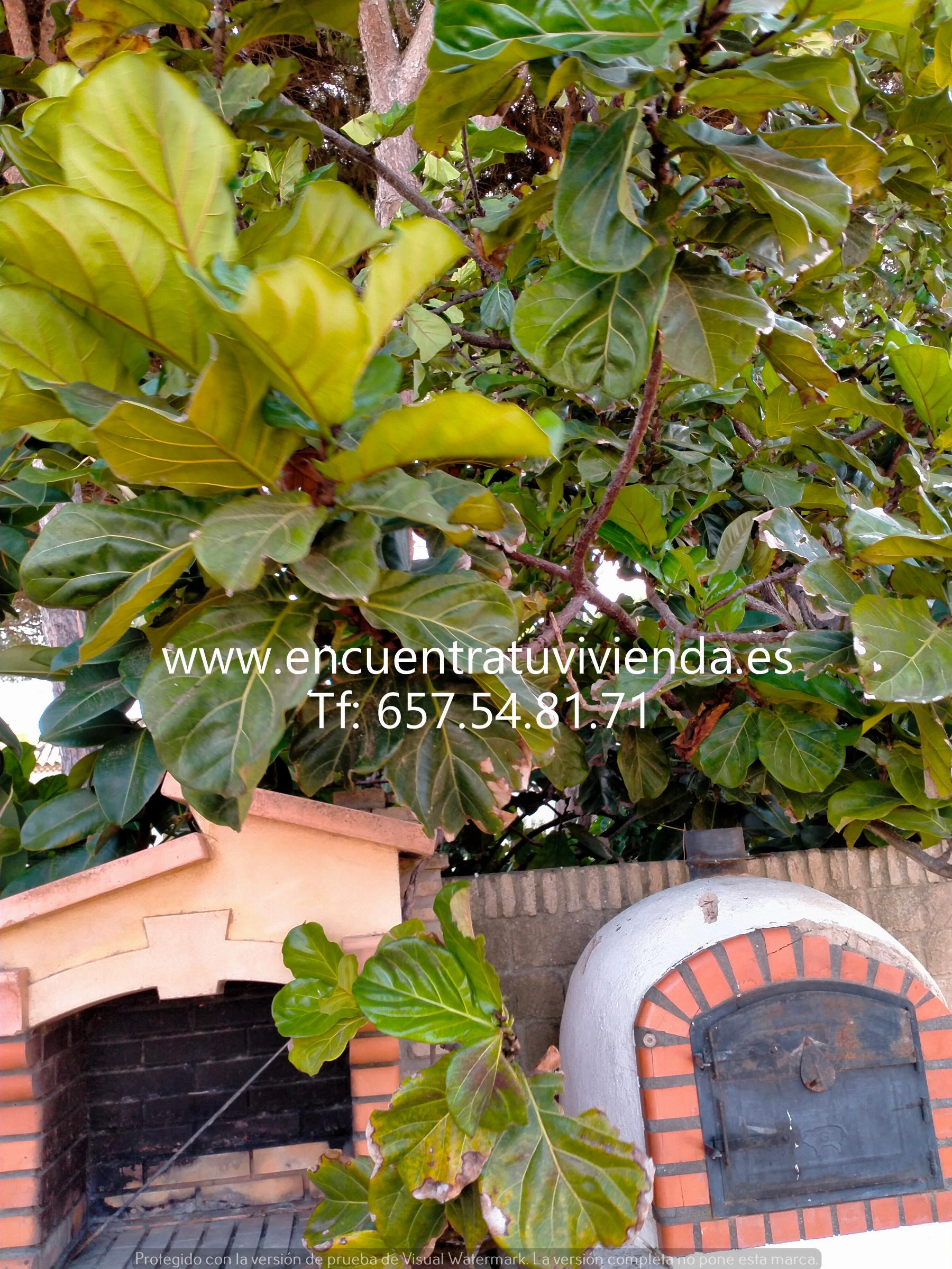 For sale of chalet in Chiclana de la Frontera