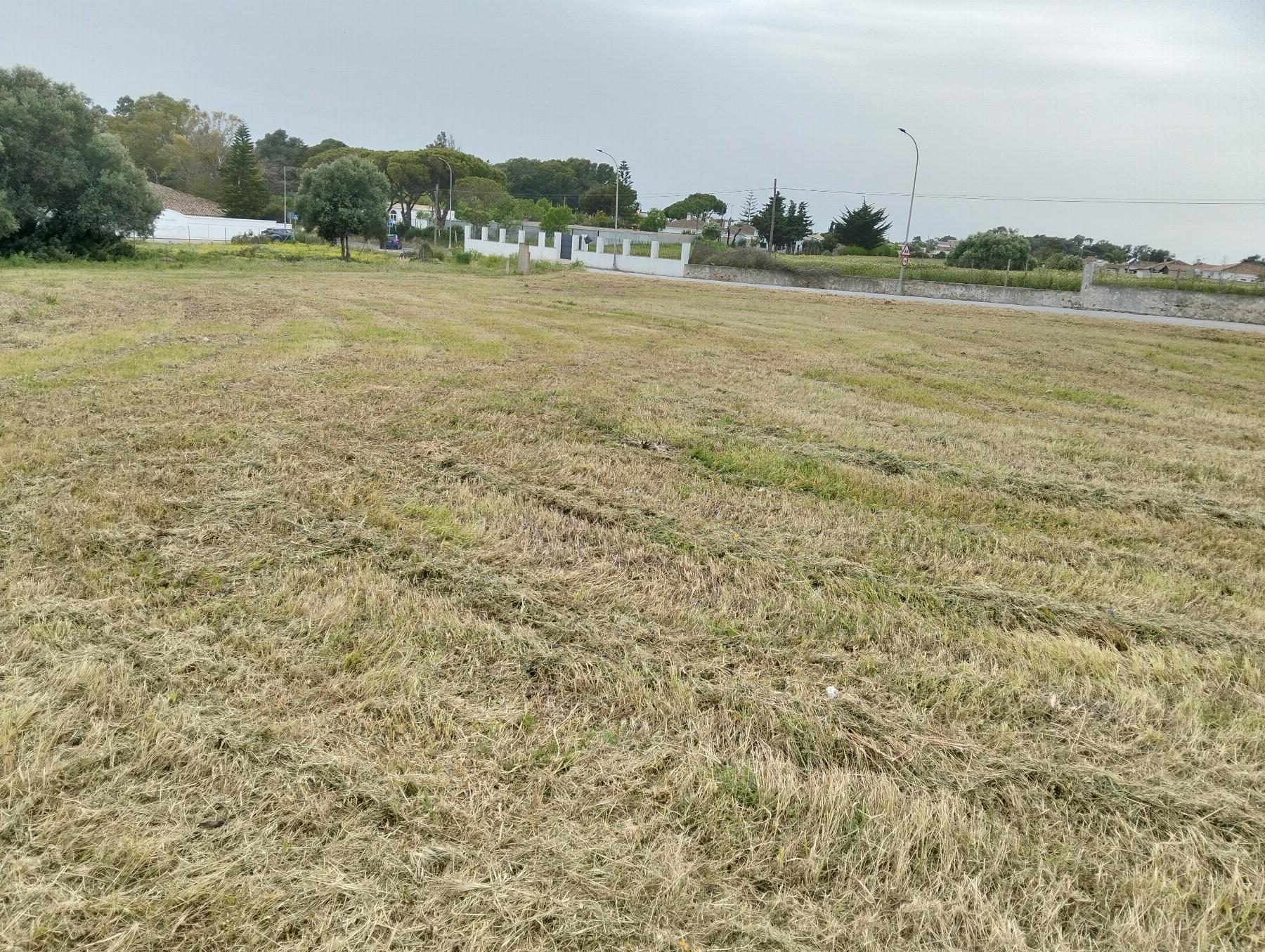 Venda de chão em Chiclana de la Frontera