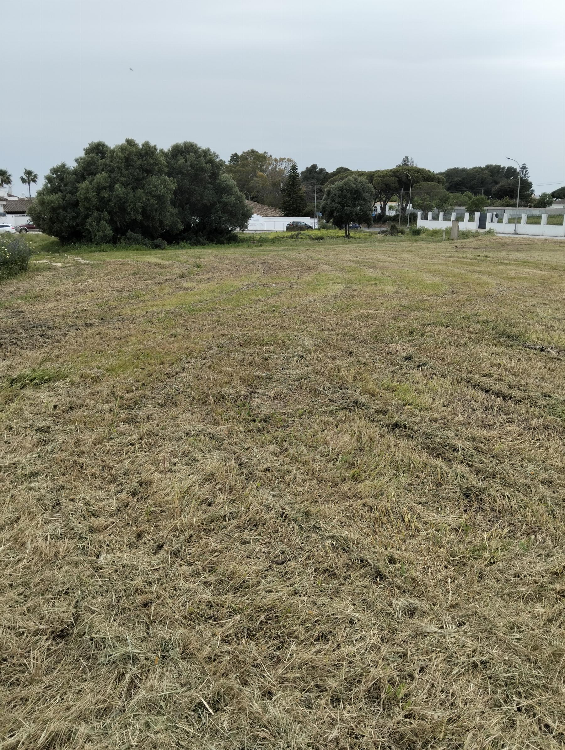 Venda de chão em Chiclana de la Frontera