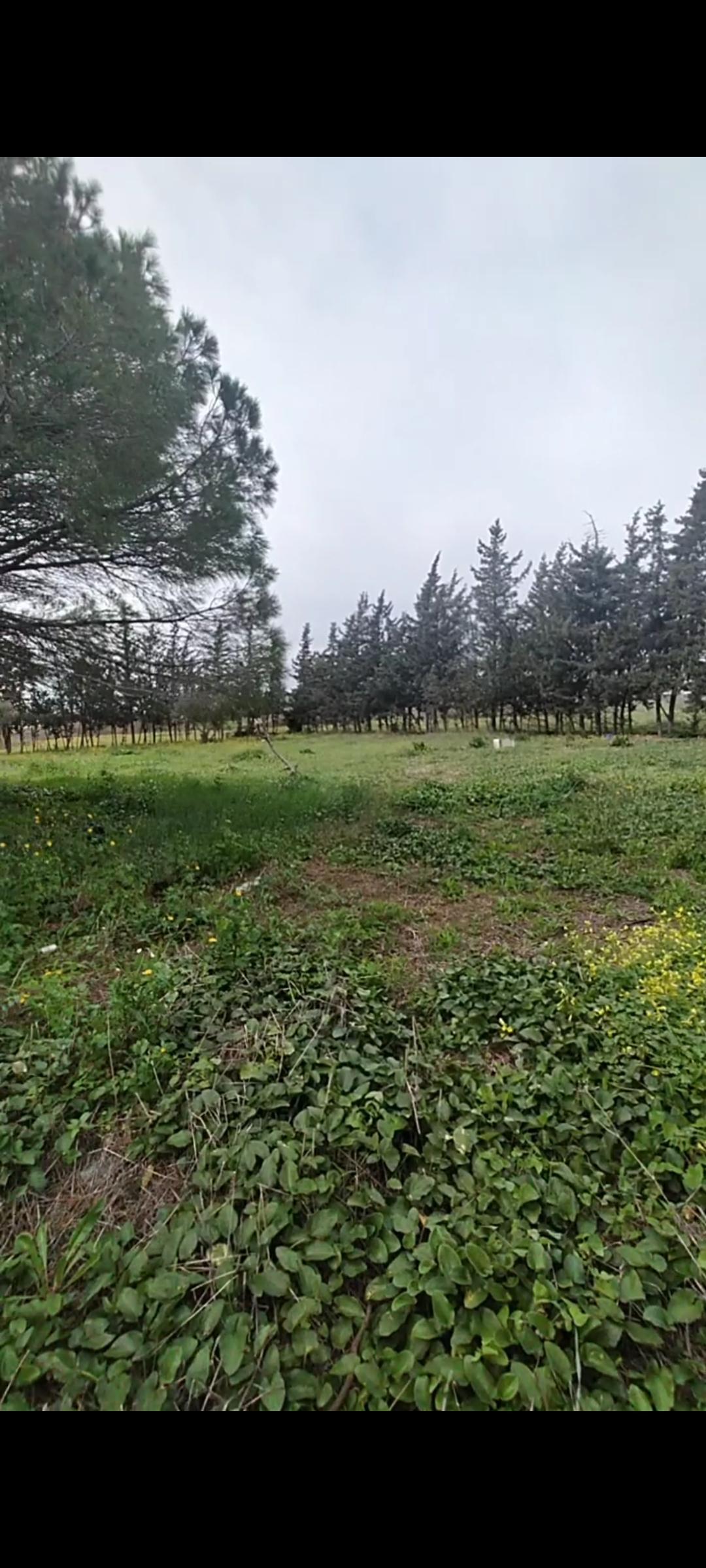 Zu verkaufen von chalet in
 Chiclana de la Frontera