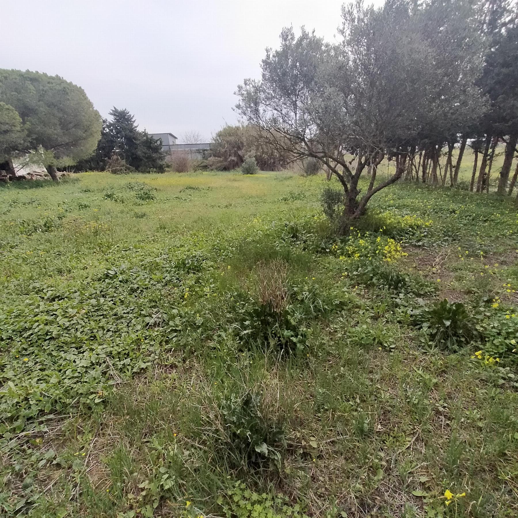 Zu verkaufen von chalet in
 Chiclana de la Frontera