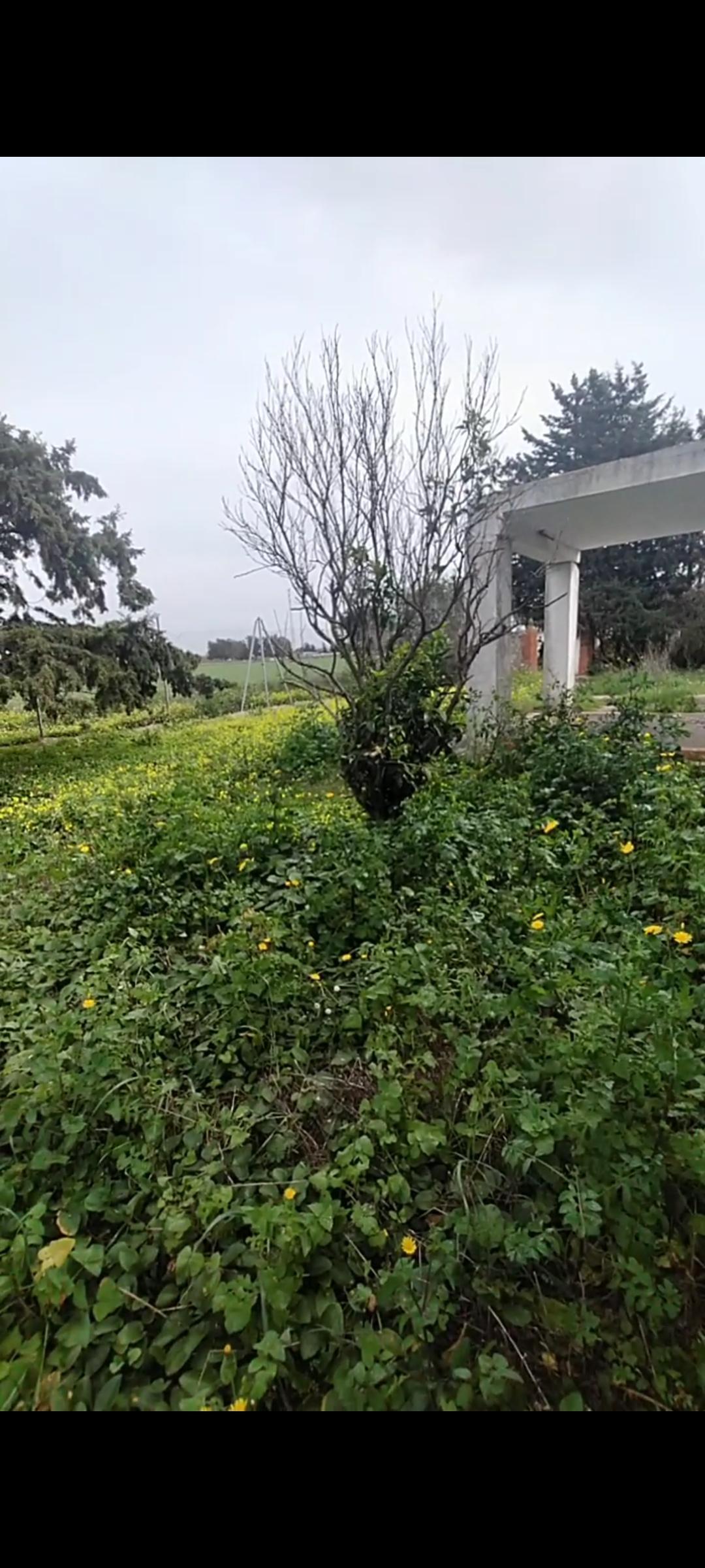 Zu verkaufen von chalet in
 Chiclana de la Frontera