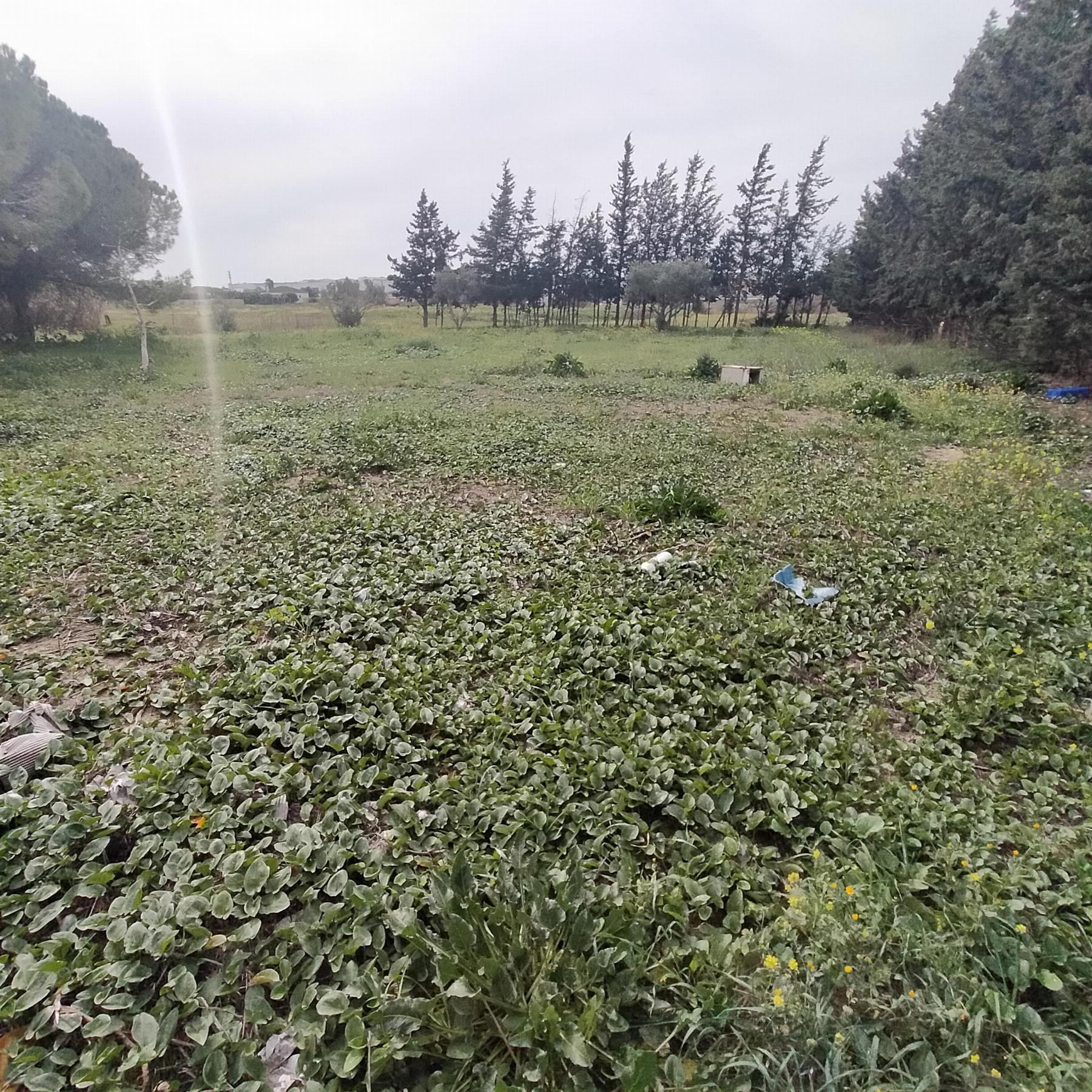 Zu verkaufen von chalet in
 Chiclana de la Frontera