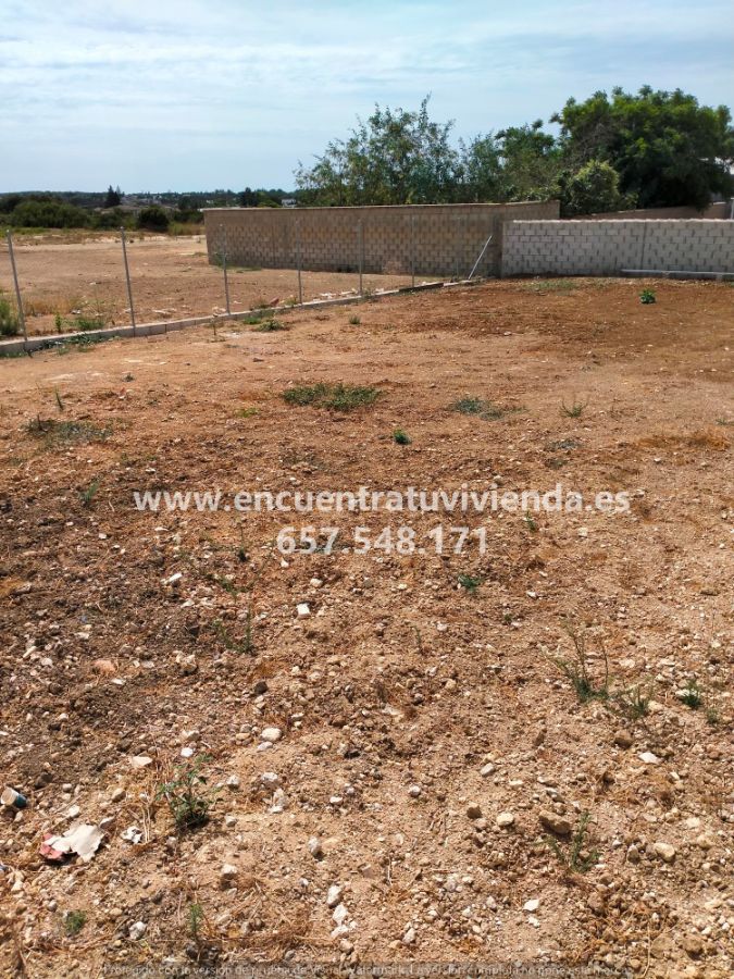 Vente de terrain dans Chiclana de la Frontera