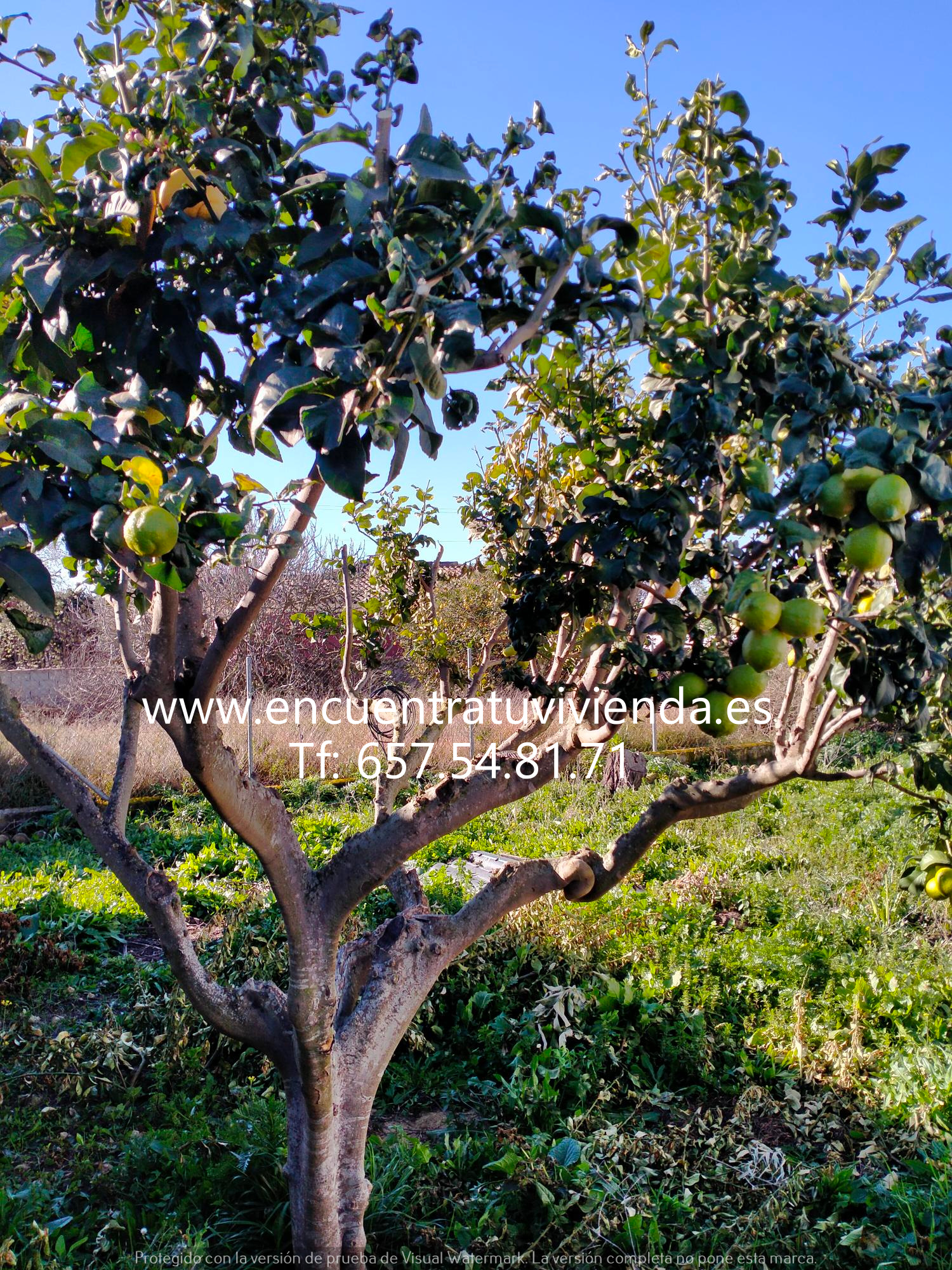 For sale of chalet in Chiclana de la Frontera