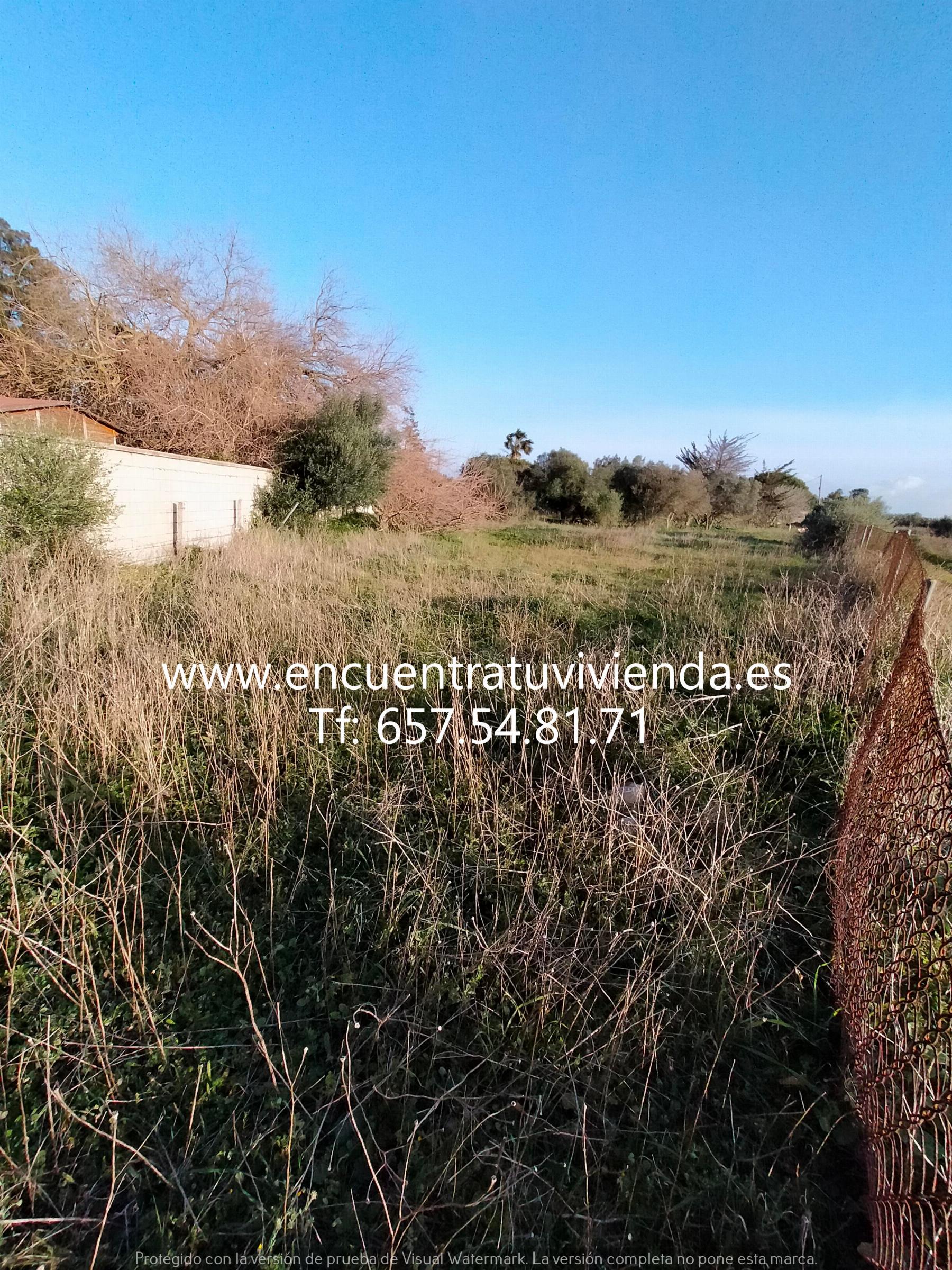 Venta de finca rústica en Chiclana de la Frontera