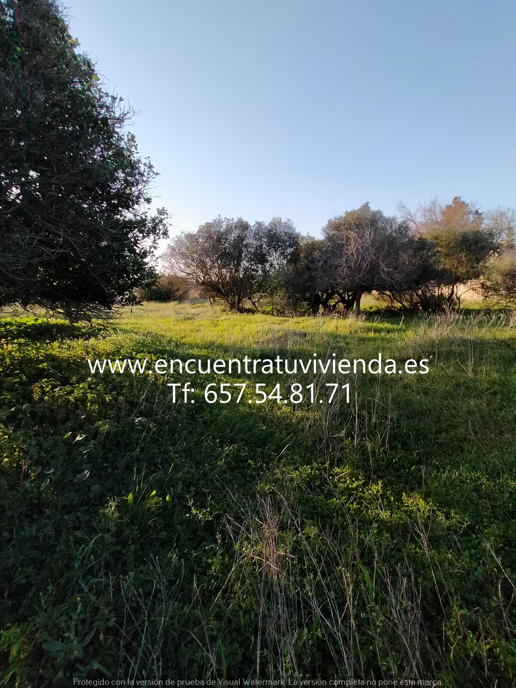 For sale of rural property in Chiclana de la Frontera