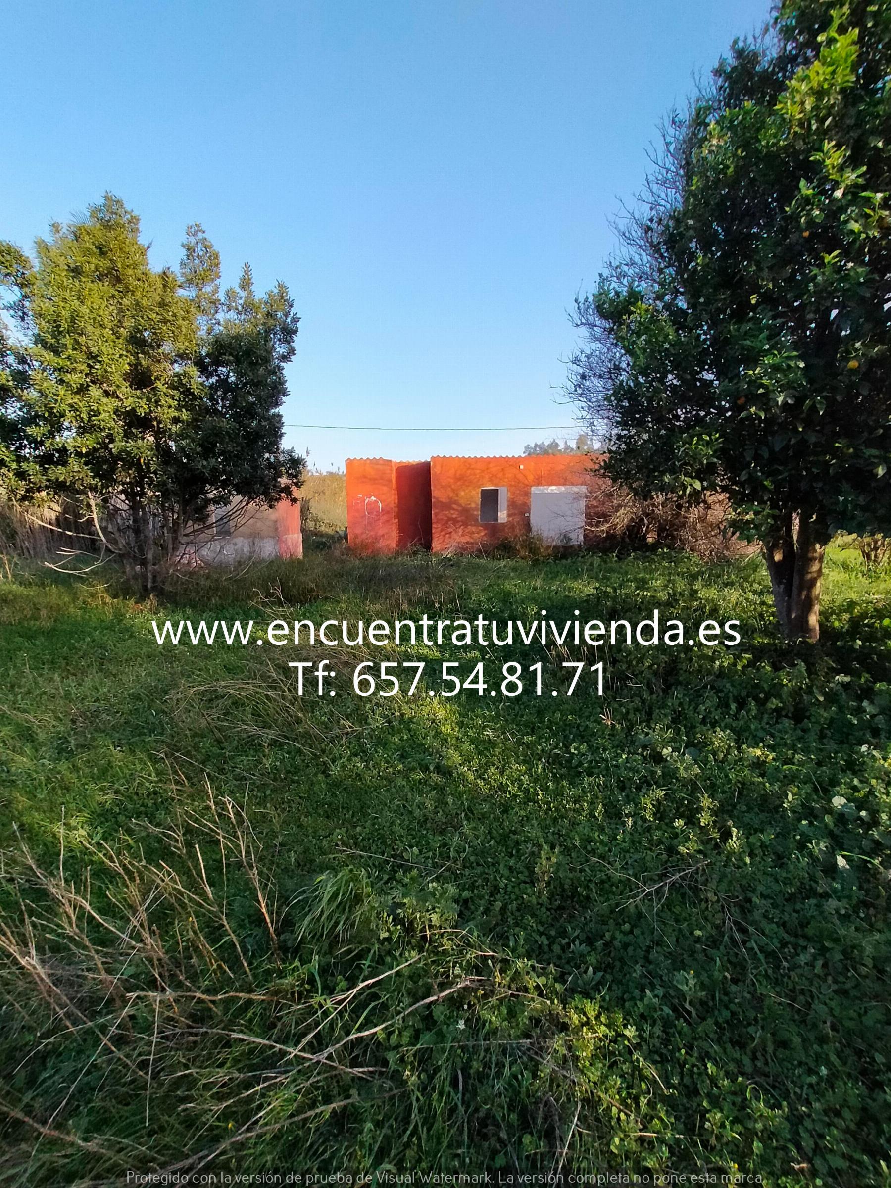 Venta de finca rústica en Chiclana de la Frontera