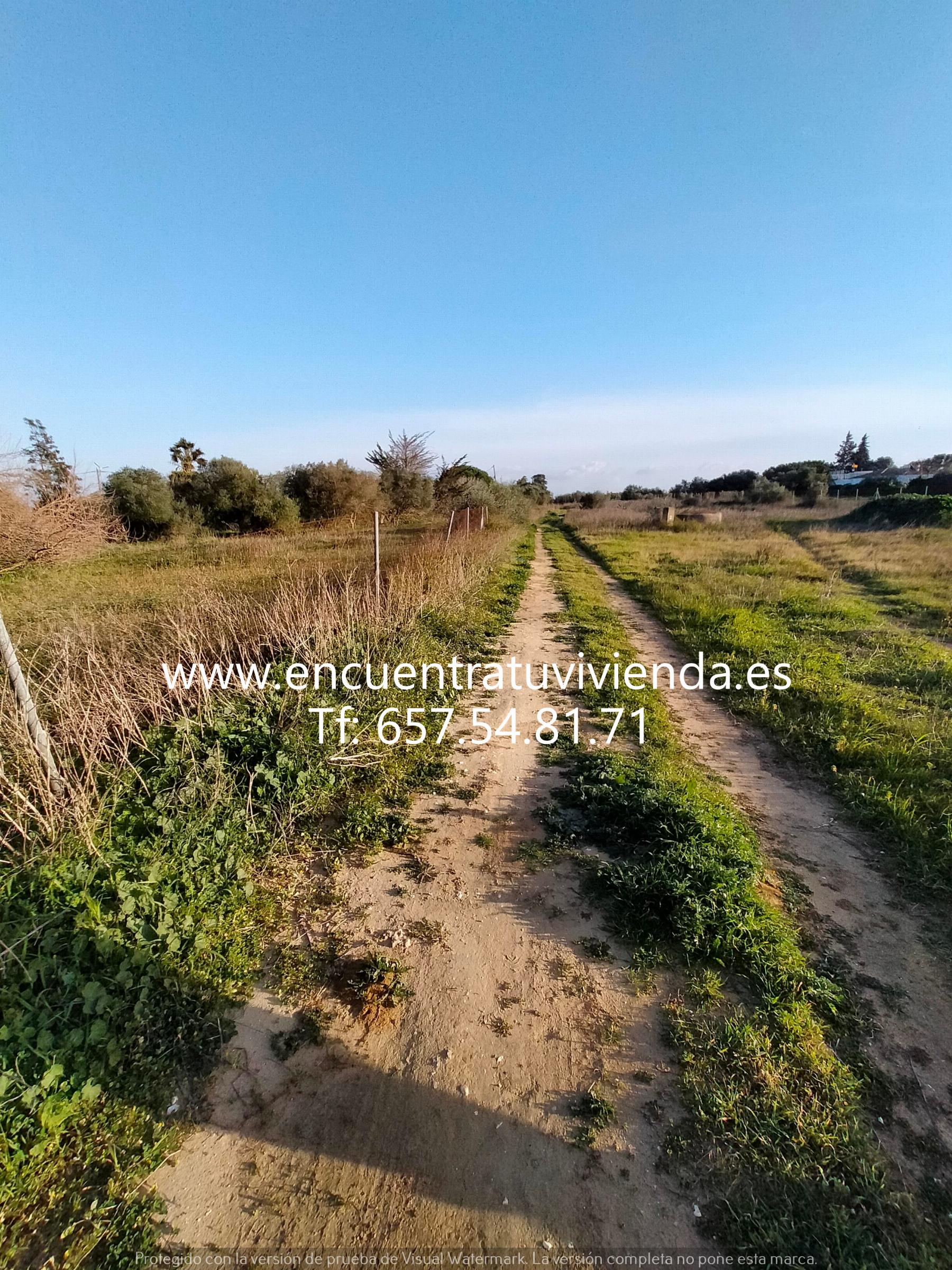 Venta de finca rústica en Chiclana de la Frontera