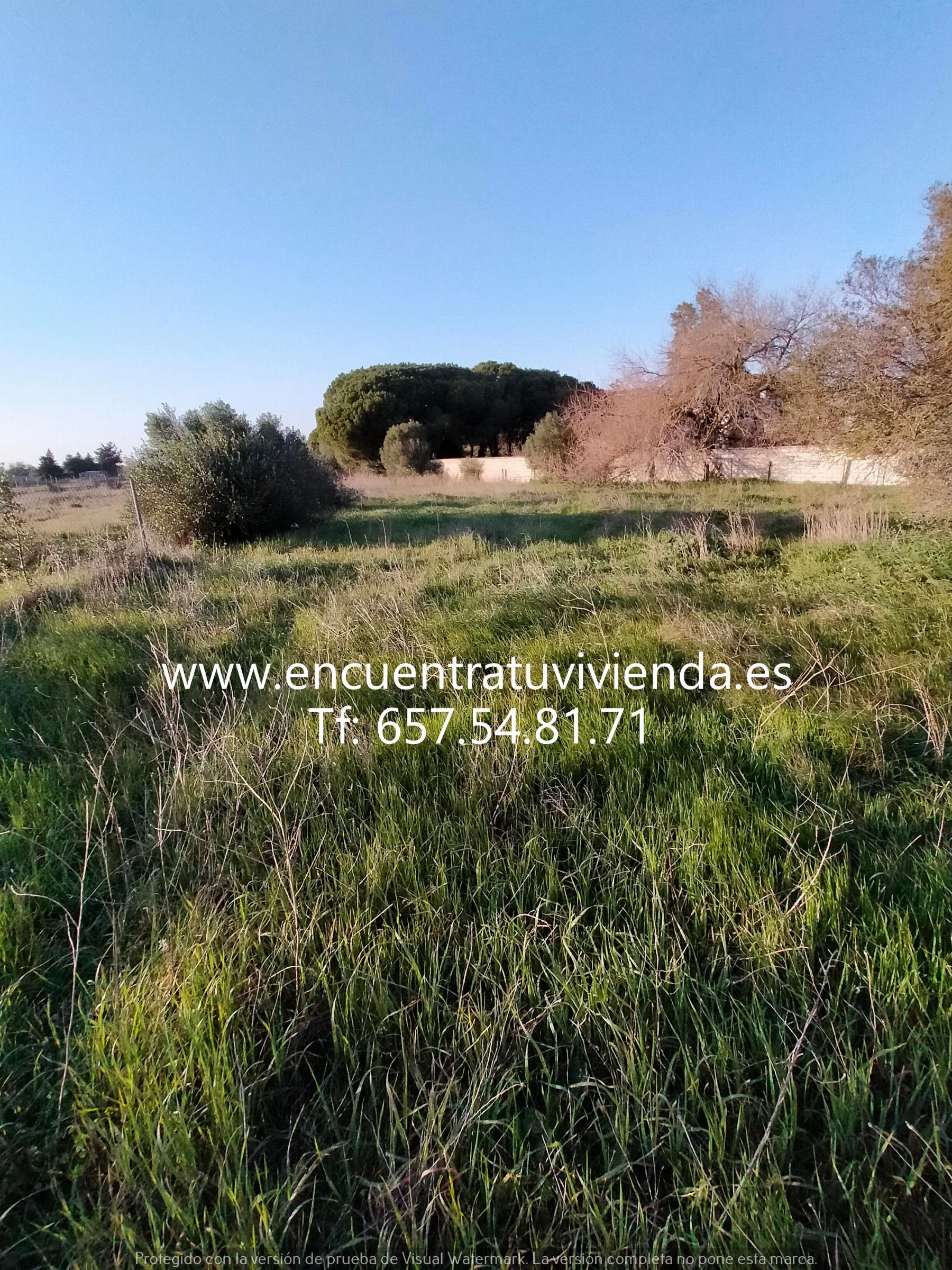 Venta de finca rústica en Chiclana de la Frontera