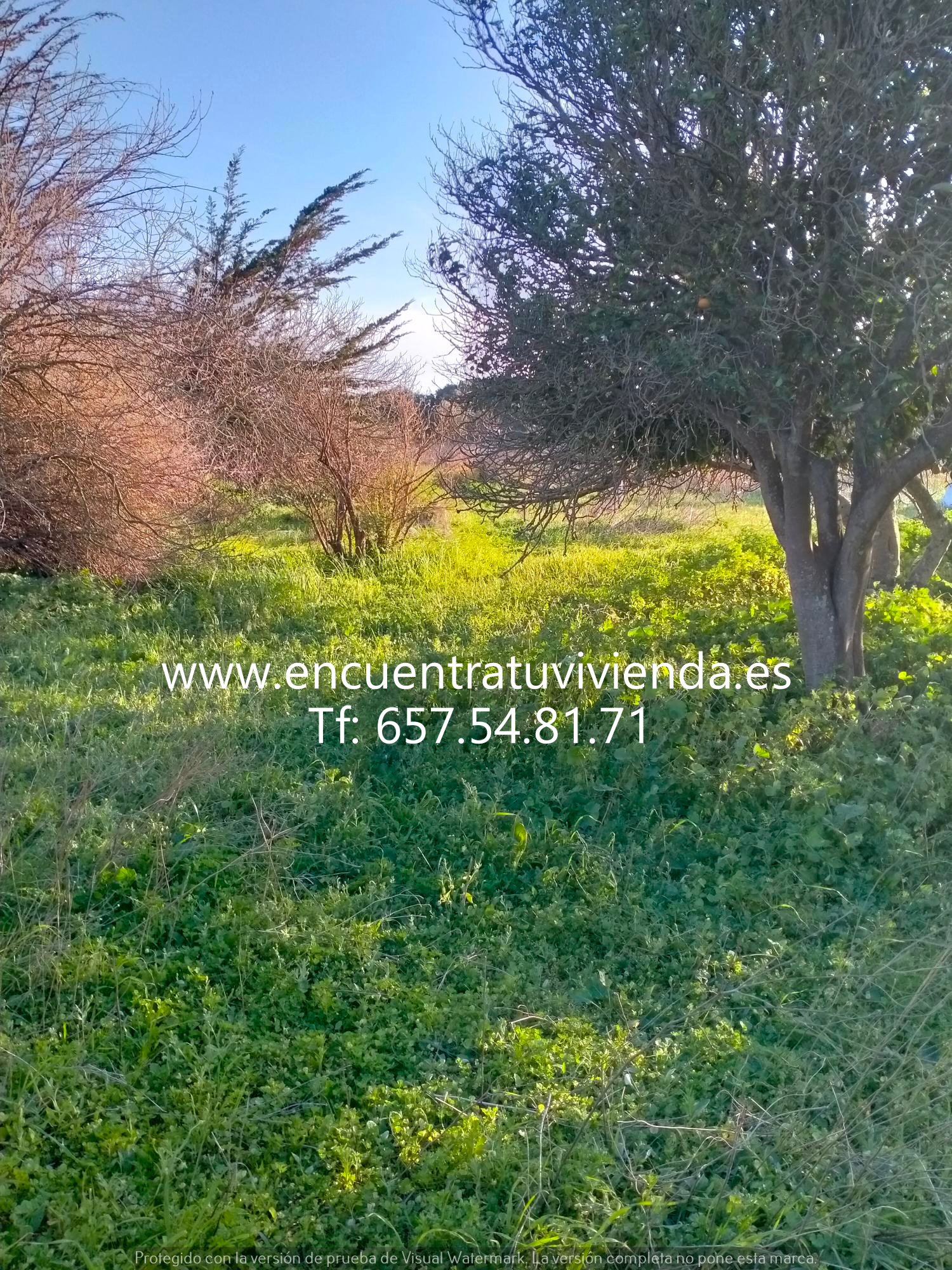 Venta de finca rústica en Chiclana de la Frontera