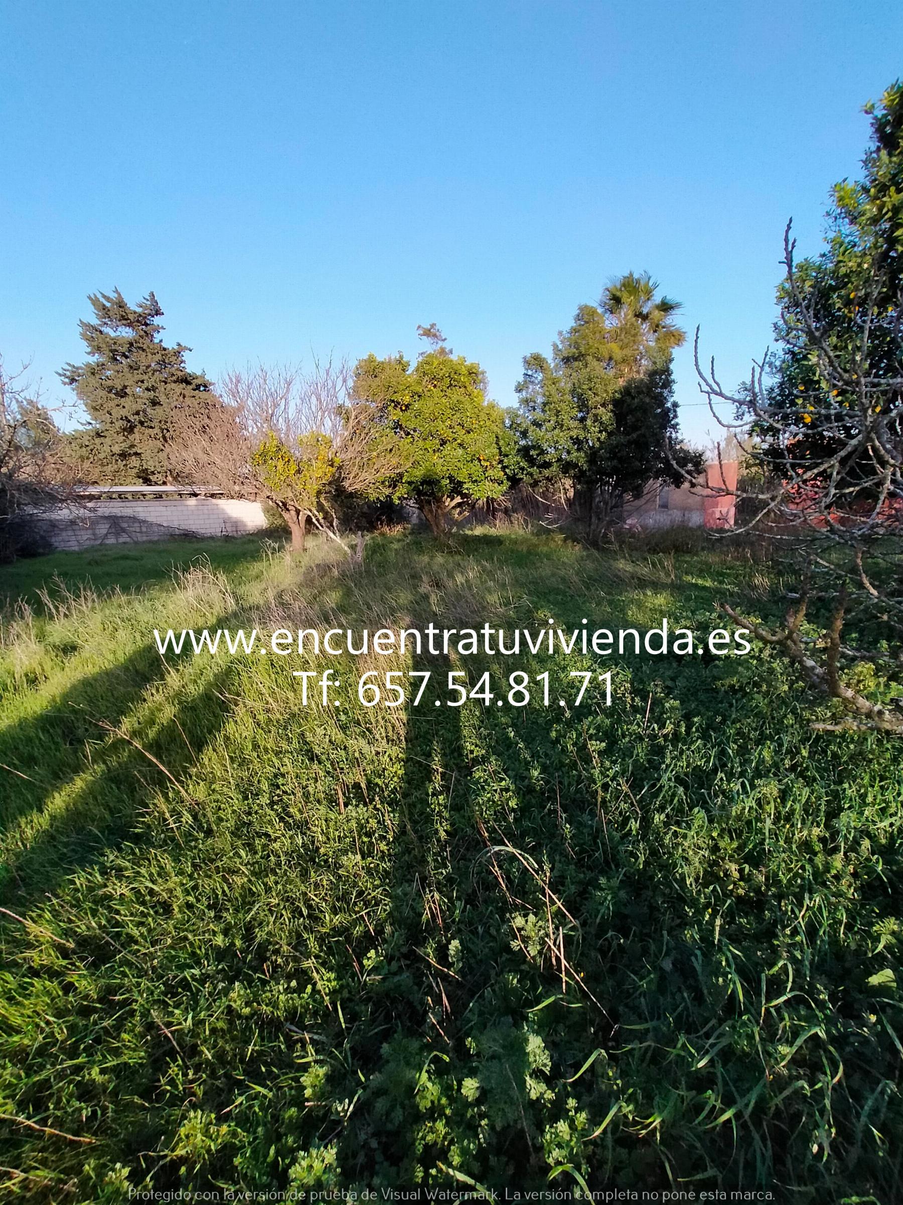 Venta de finca rústica en Chiclana de la Frontera