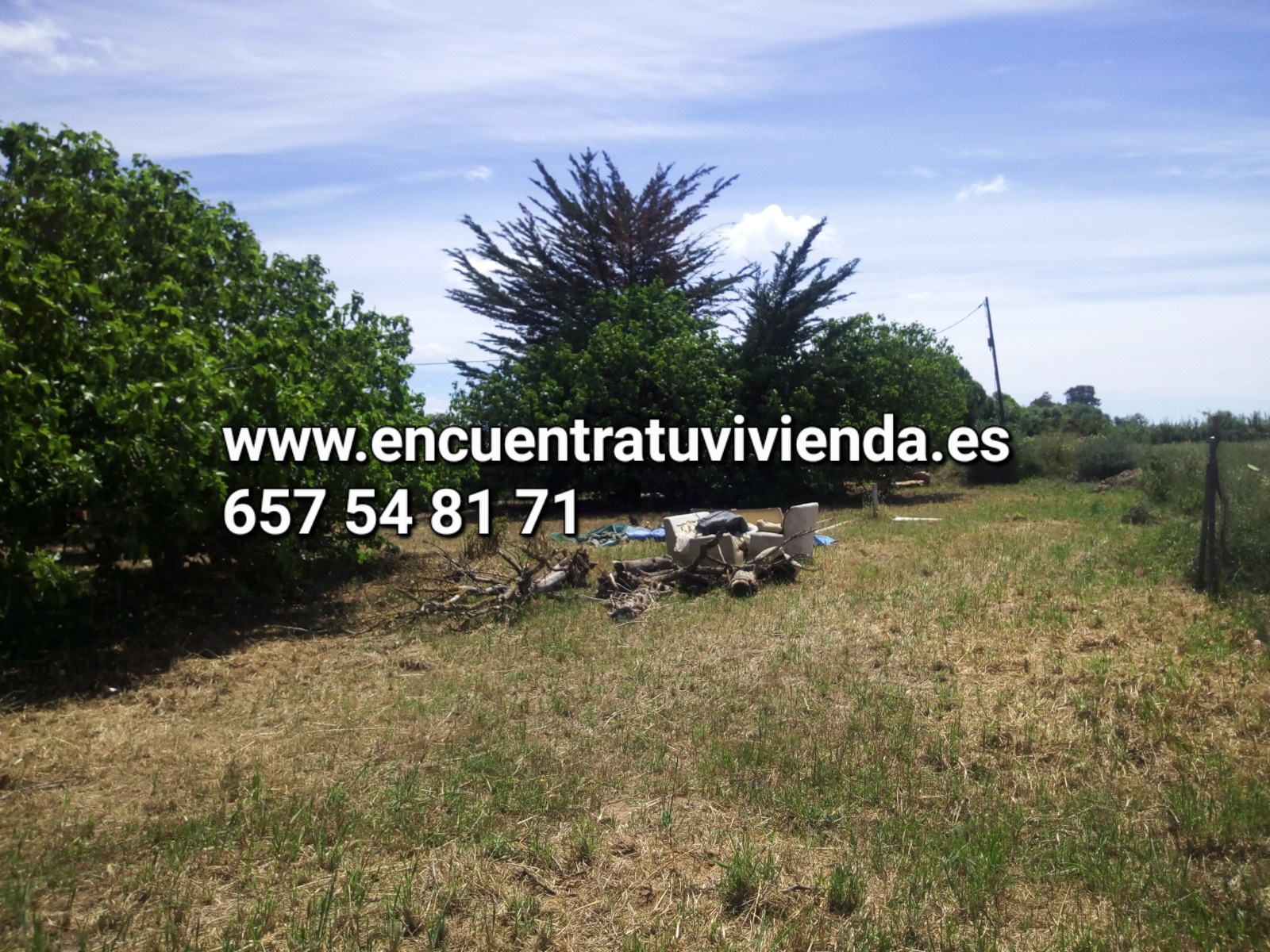 Venta de finca rústica en Chiclana de la Frontera