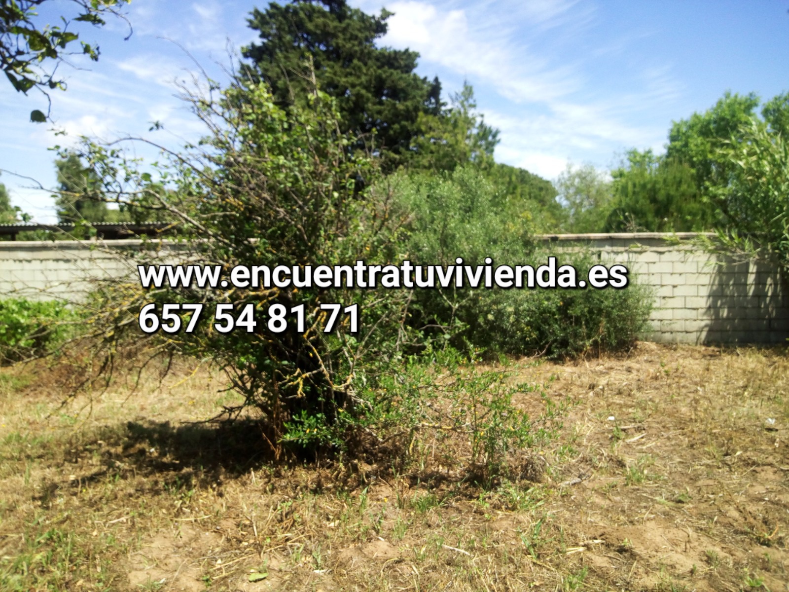 For sale of rural property in Chiclana de la Frontera