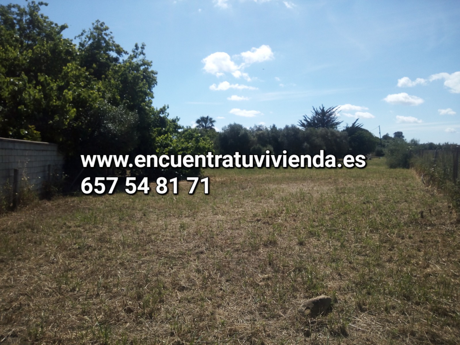 Venta de finca rústica en Chiclana de la Frontera