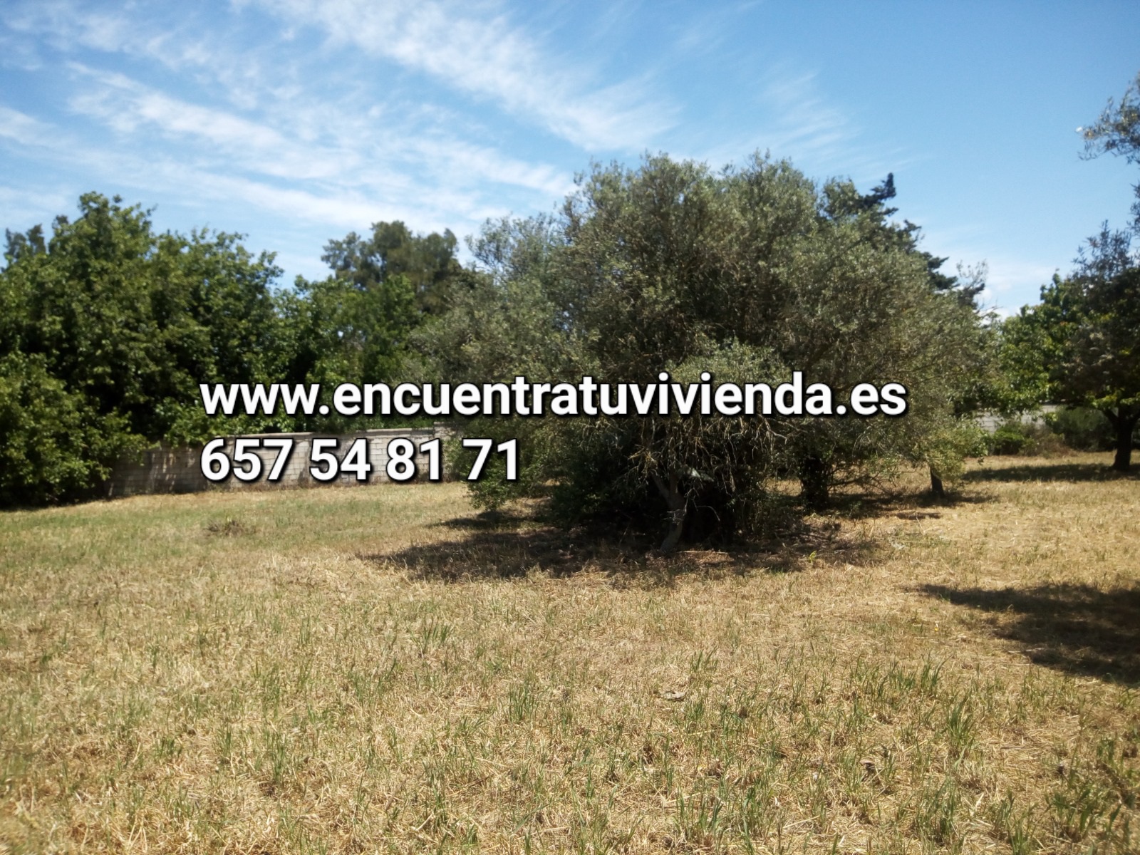 Venta de finca rústica en Chiclana de la Frontera