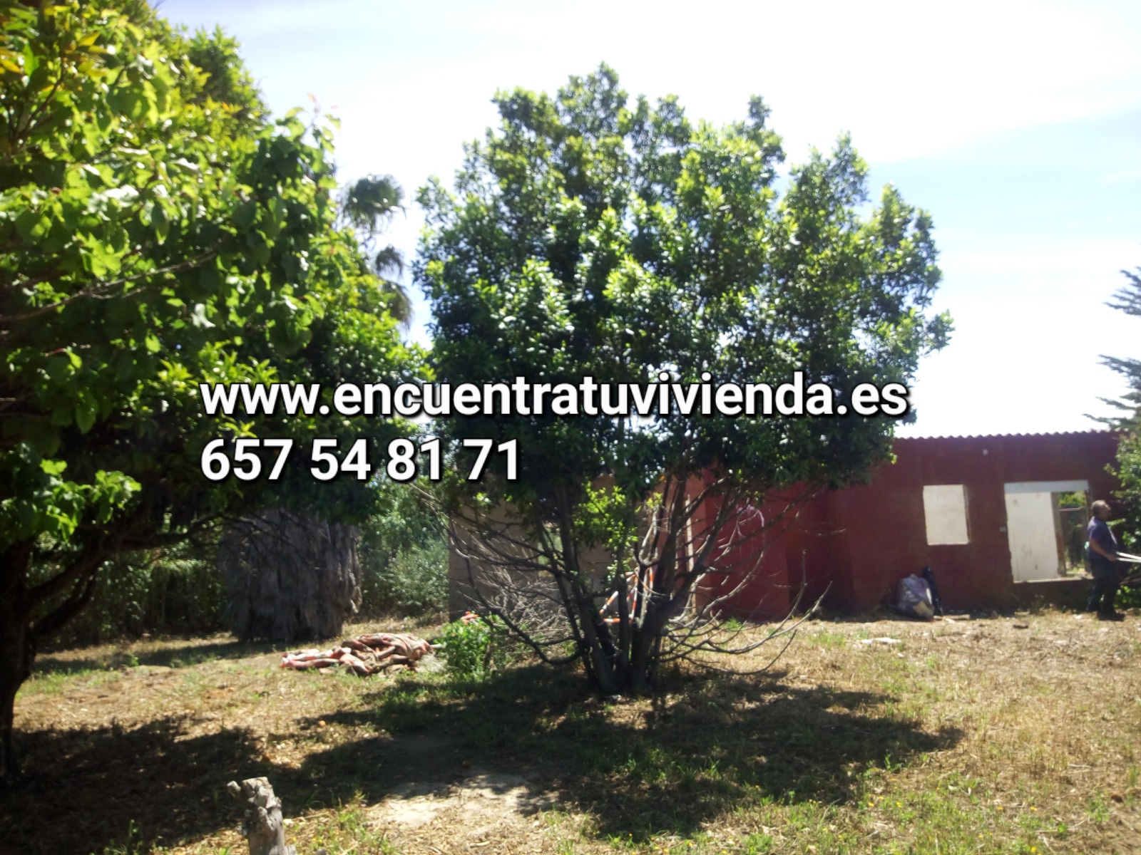 Venta de finca rústica en Chiclana de la Frontera