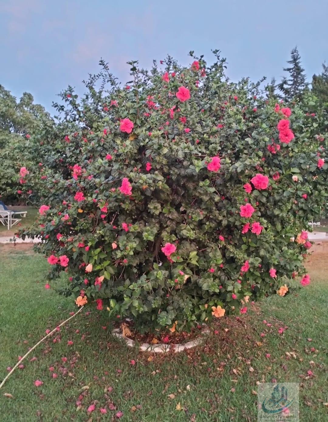 Venta de chalet en Chiclana de la Frontera