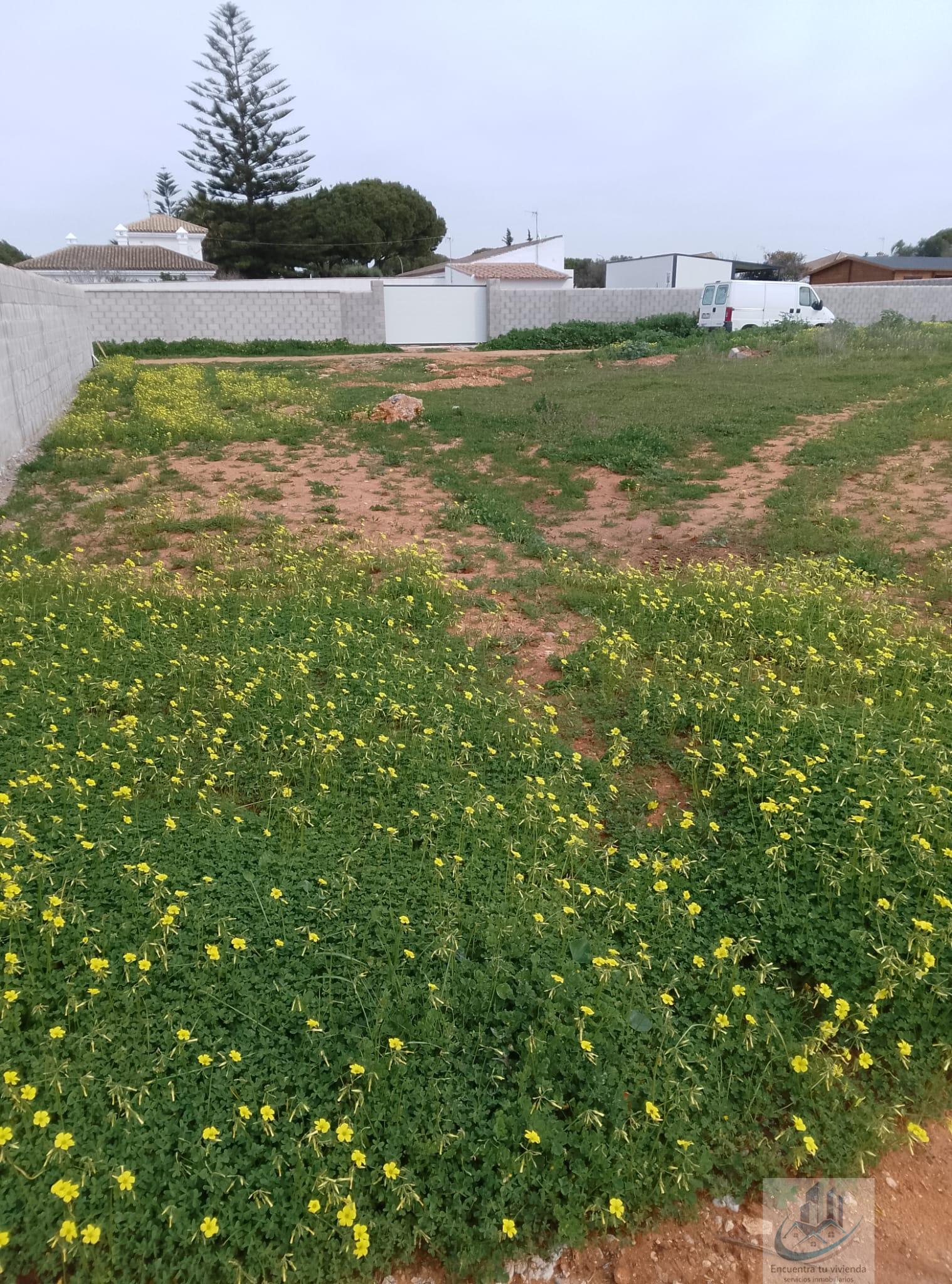 Venta de terreno en Chiclana de la Frontera