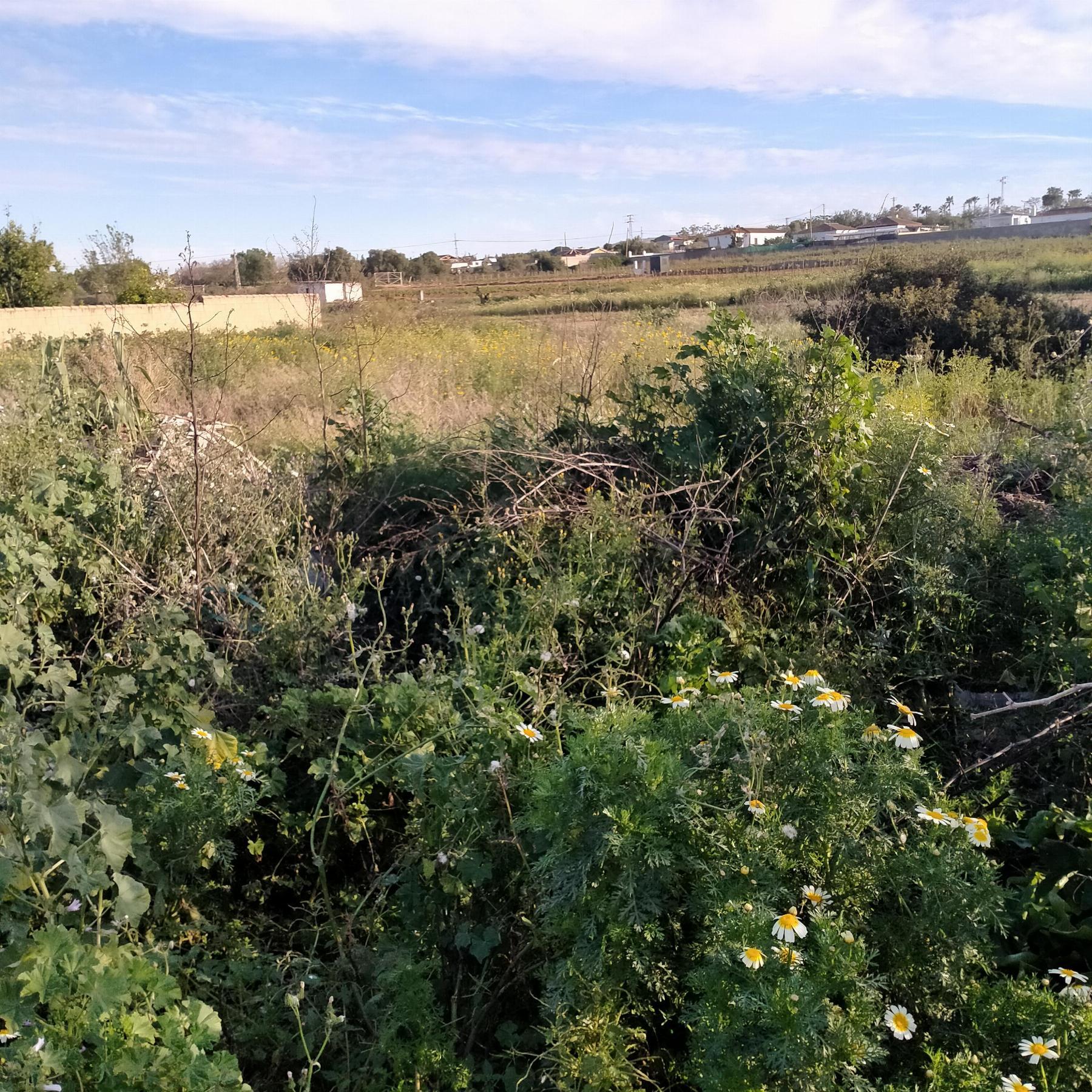 Verkoop van terrein in Chiclana de la Frontera