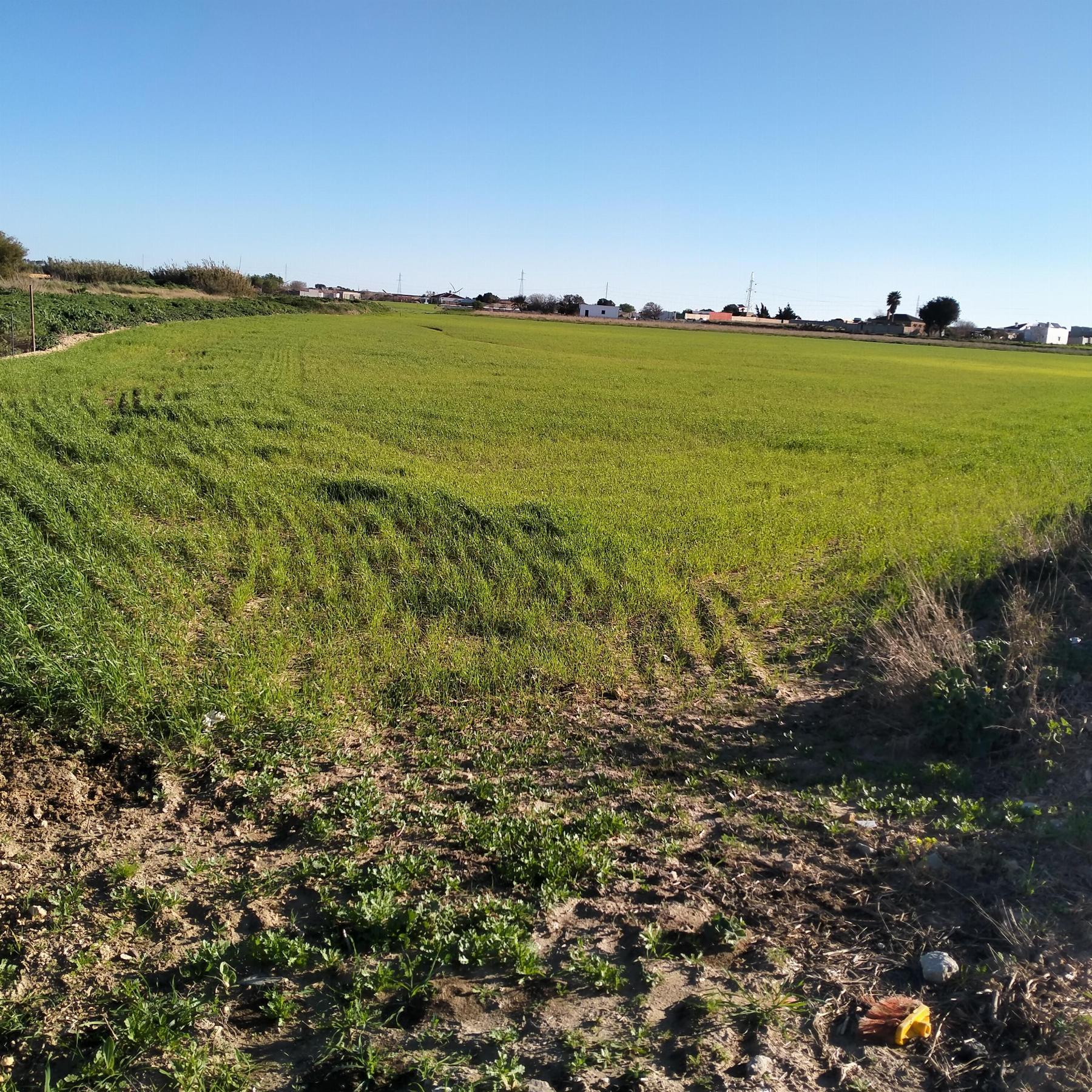 Venda de chão em Chiclana de la Frontera