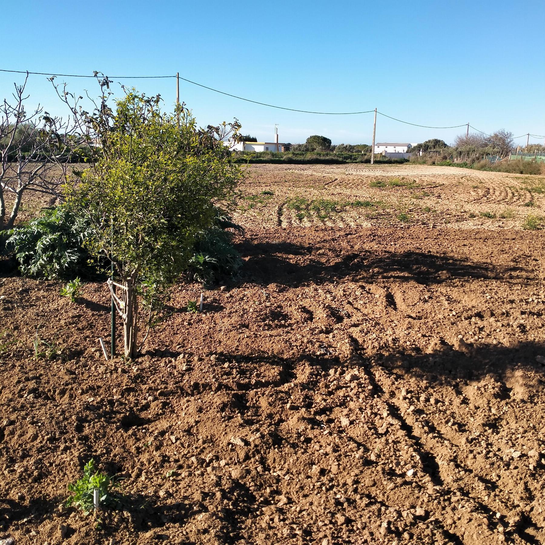 Venda de chão em Chiclana de la Frontera