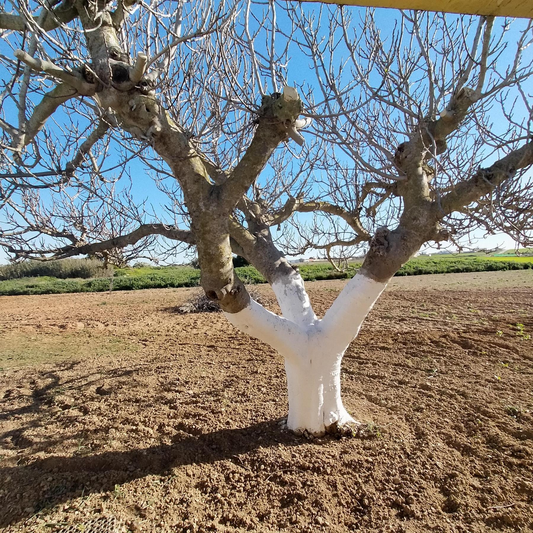 Venda de chão em Chiclana de la Frontera