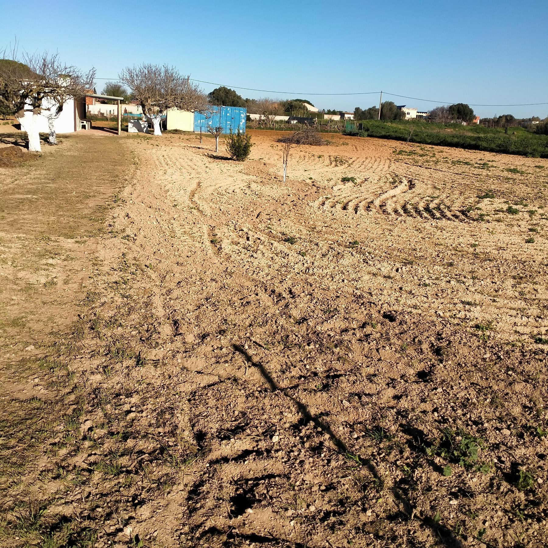 Venda de chão em Chiclana de la Frontera