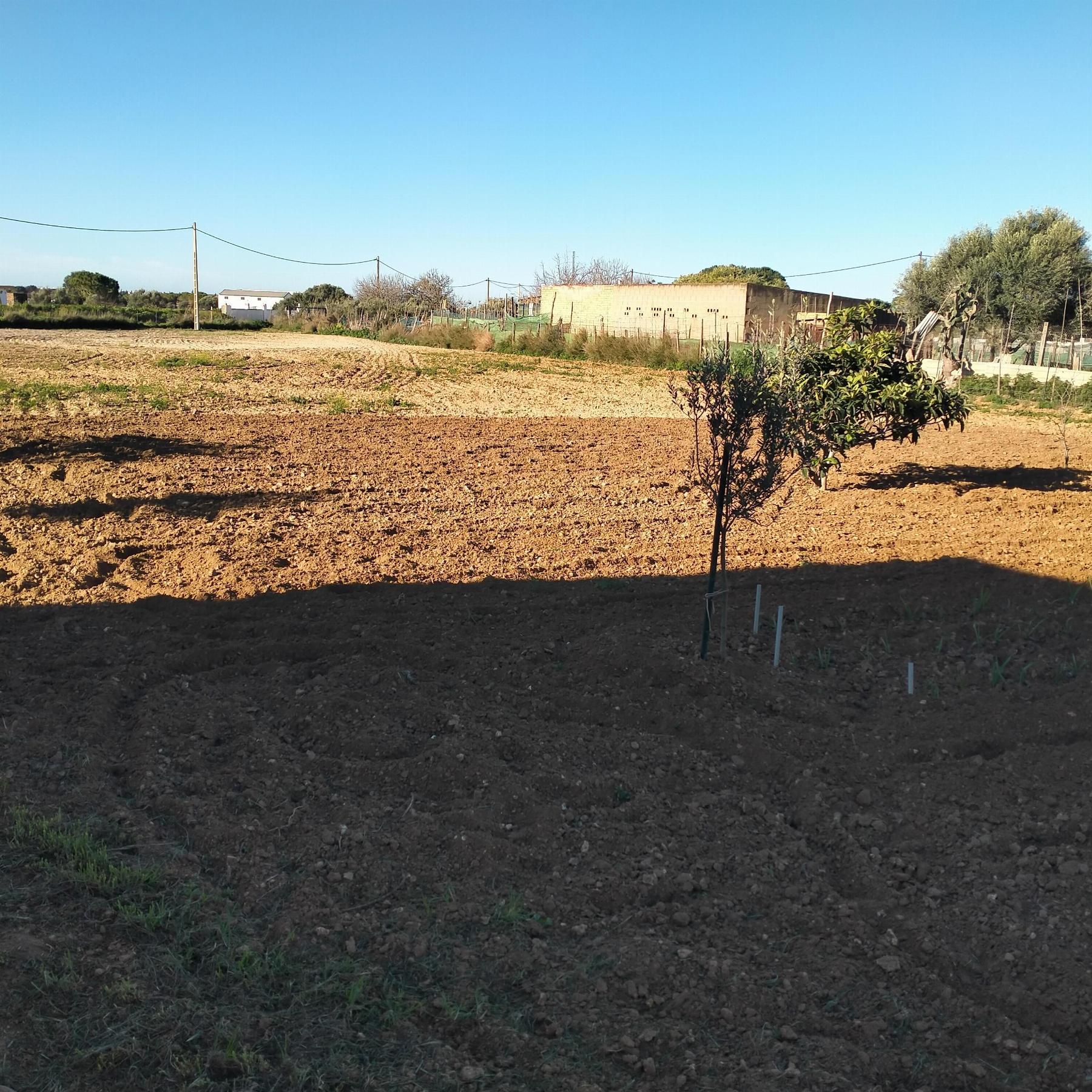 Venda de chão em Chiclana de la Frontera