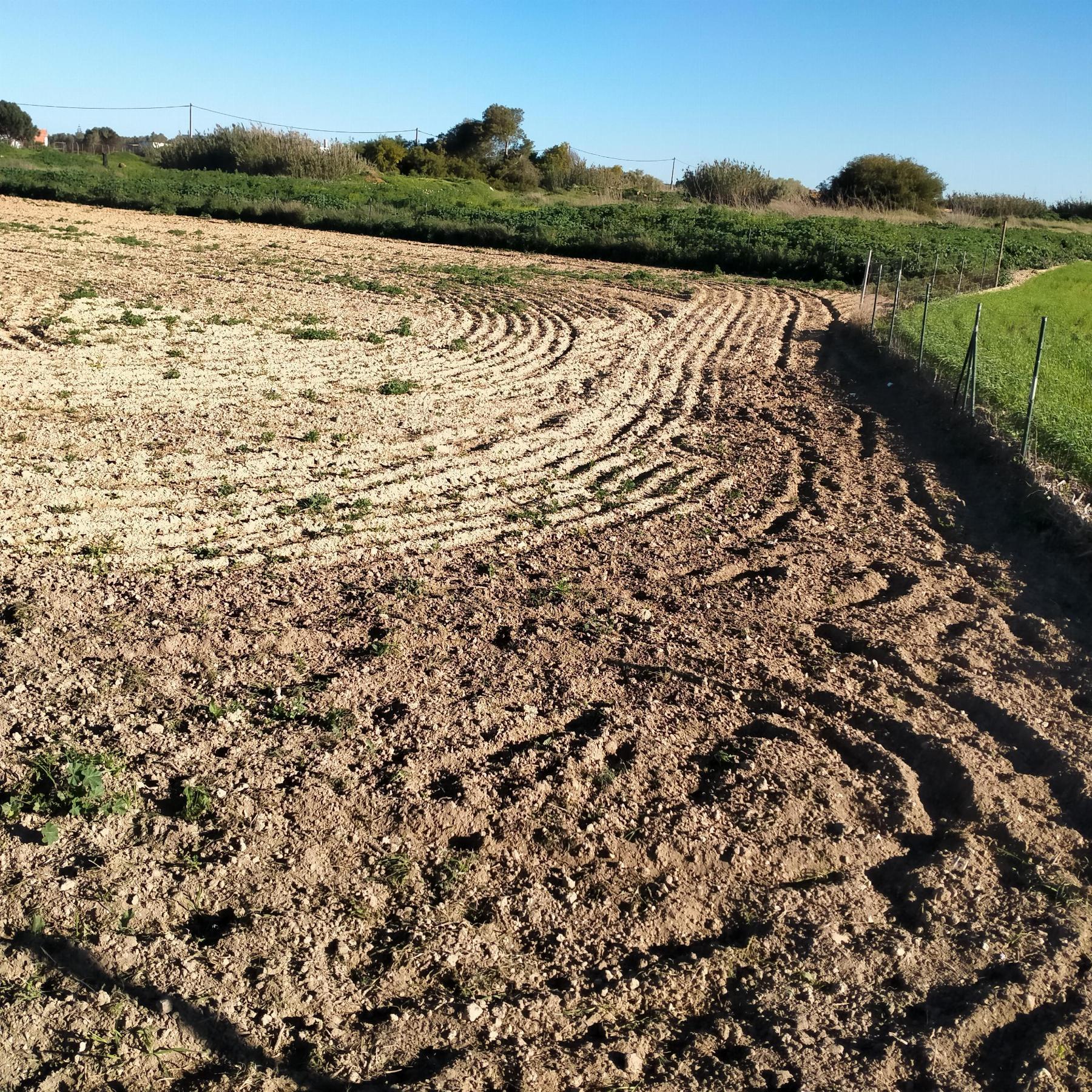 Venda de chão em Chiclana de la Frontera