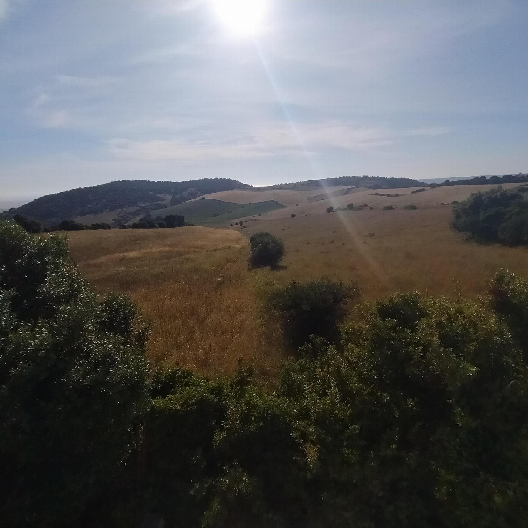 For sale of chalet in Vejer de la Frontera
