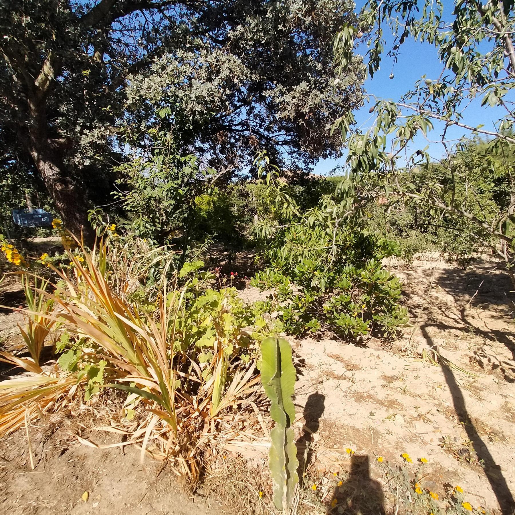 For sale of chalet in Chiclana de la Frontera