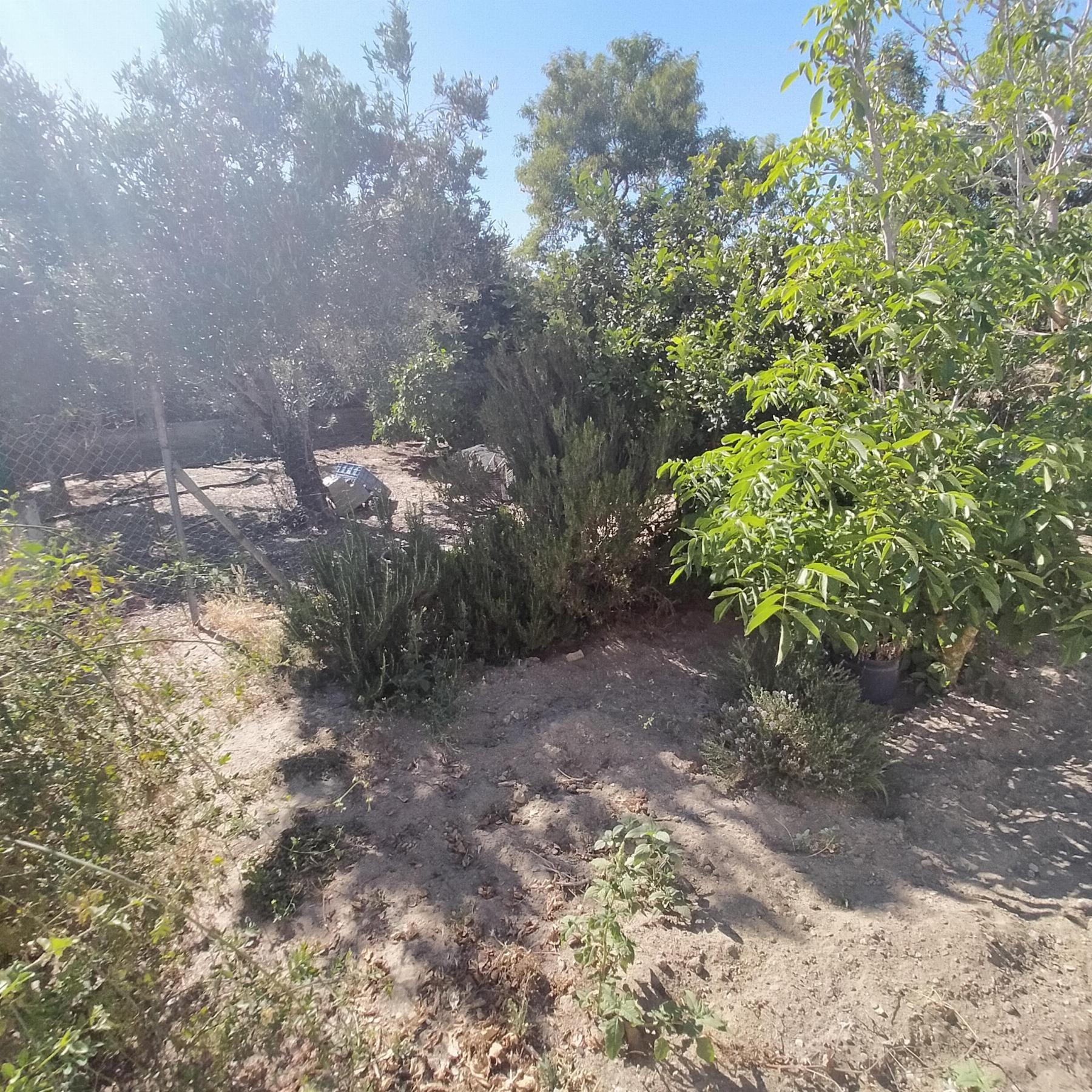 For sale of chalet in Chiclana de la Frontera