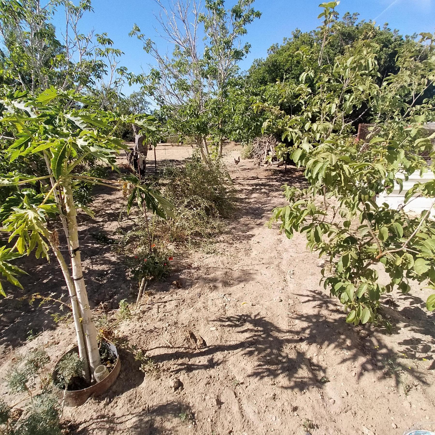 For sale of chalet in Chiclana de la Frontera