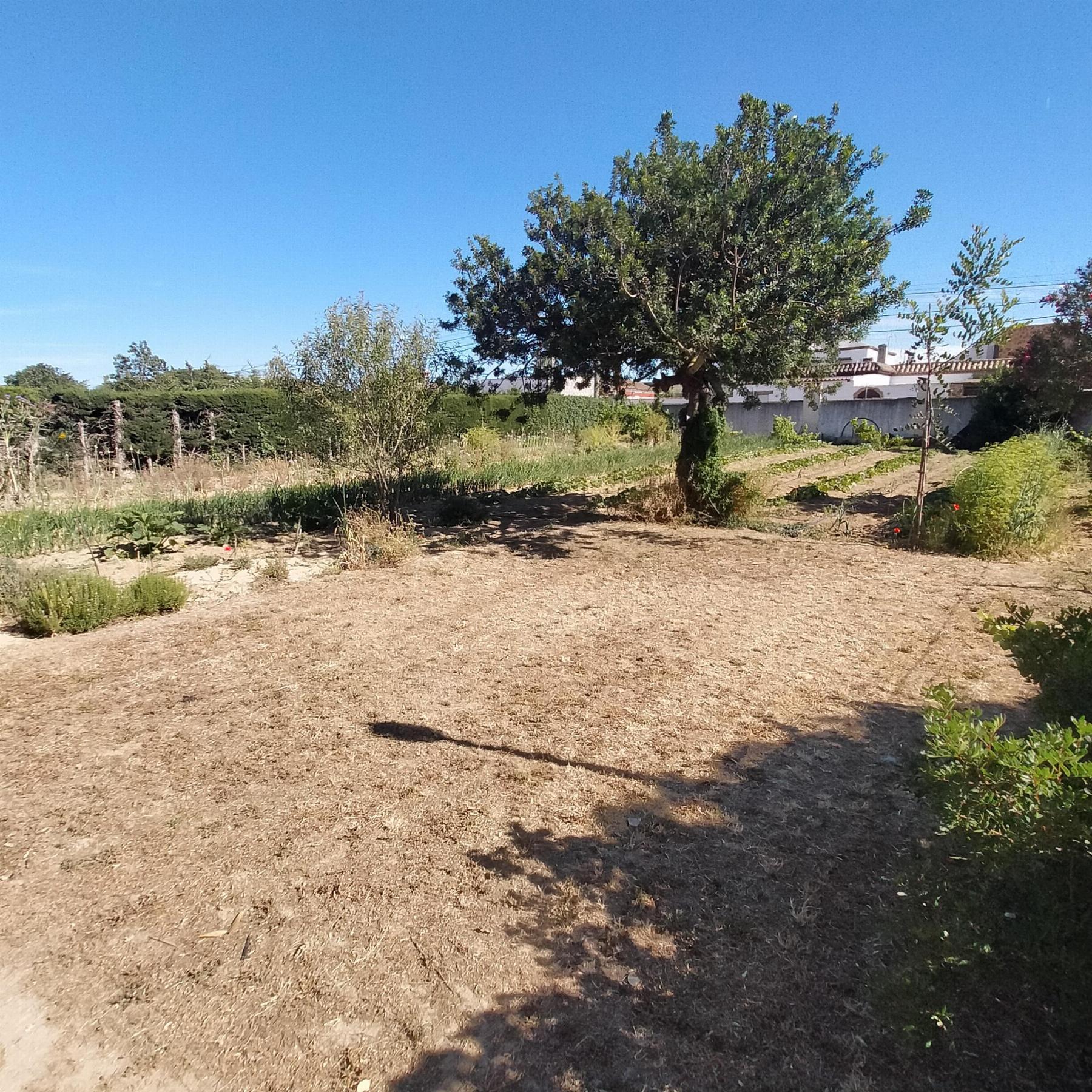 For sale of chalet in Chiclana de la Frontera