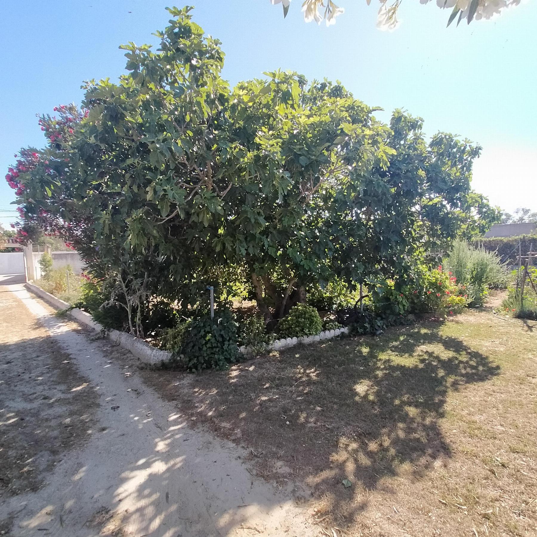 For sale of chalet in Chiclana de la Frontera