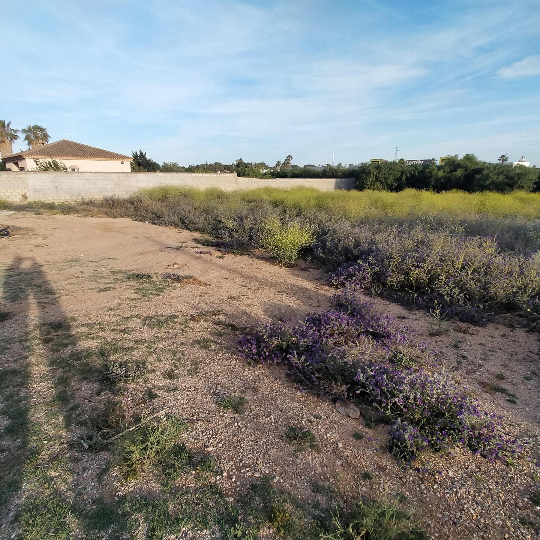 For sale of land in Chiclana de la Frontera