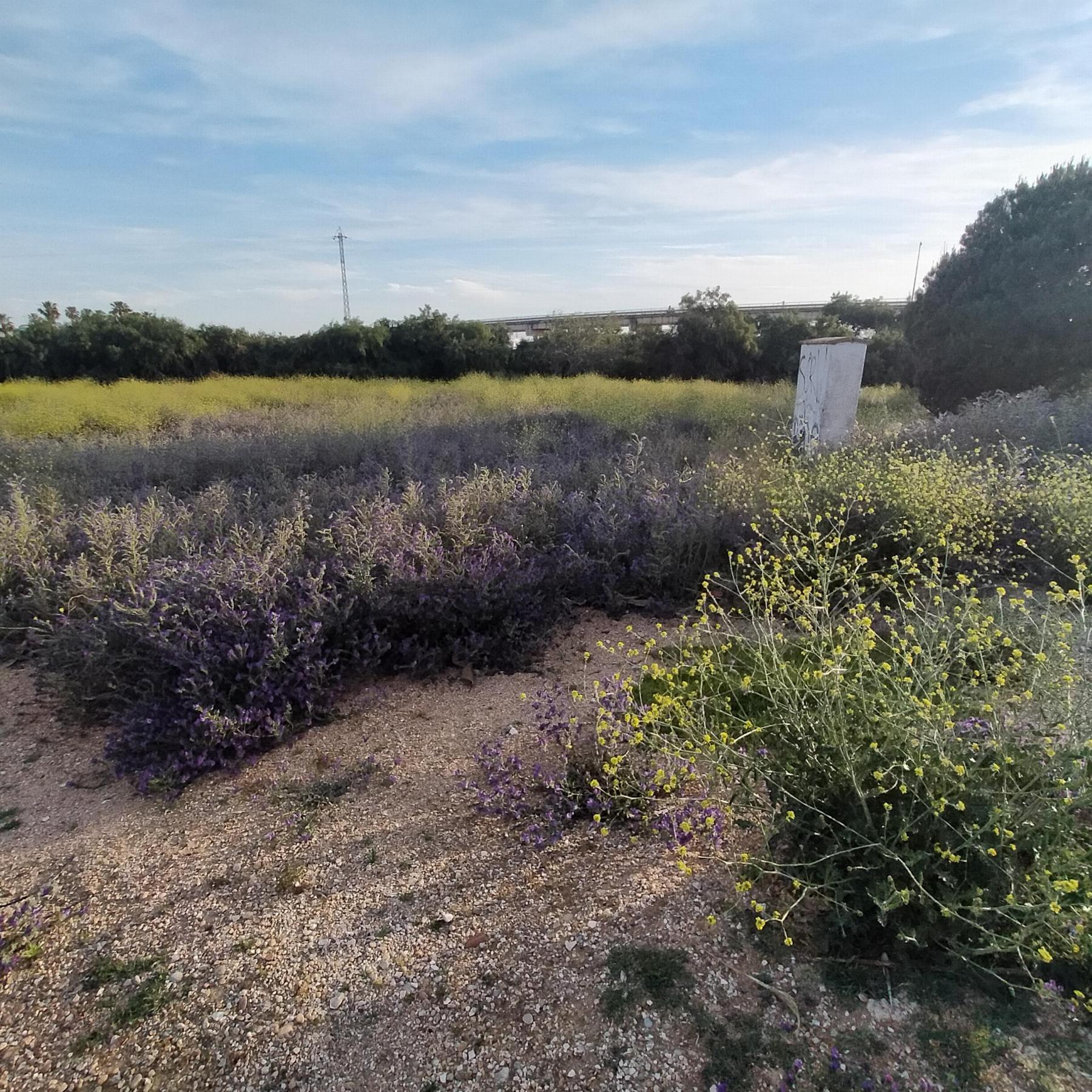 For sale of land in Chiclana de la Frontera