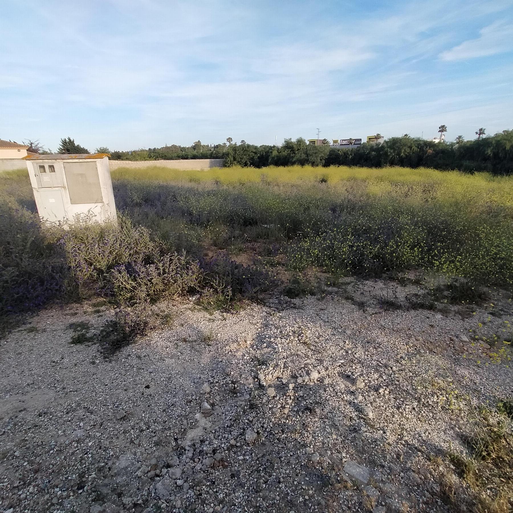 Verkoop van terrein in Chiclana de la Frontera