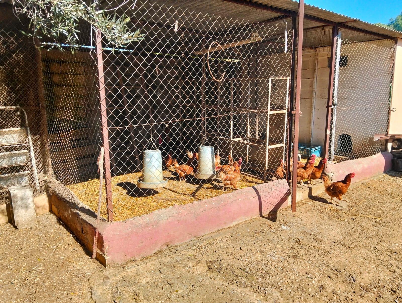 For sale of chalet in Chiclana de la Frontera