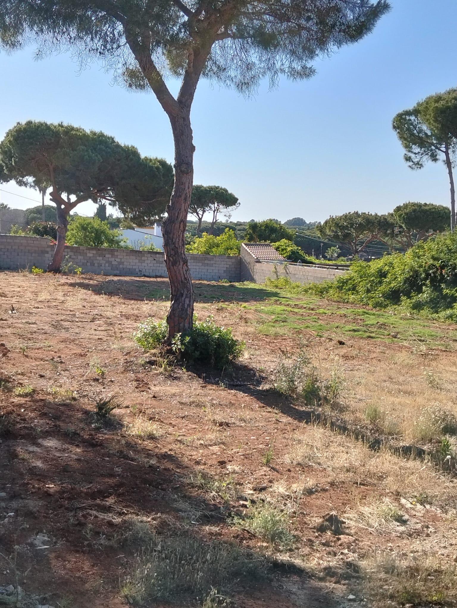 For sale of land in Chiclana de la Frontera