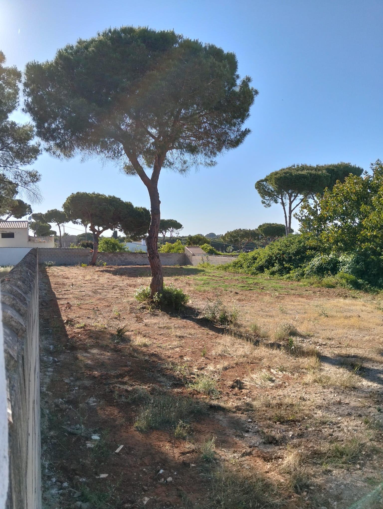 For sale of land in Chiclana de la Frontera