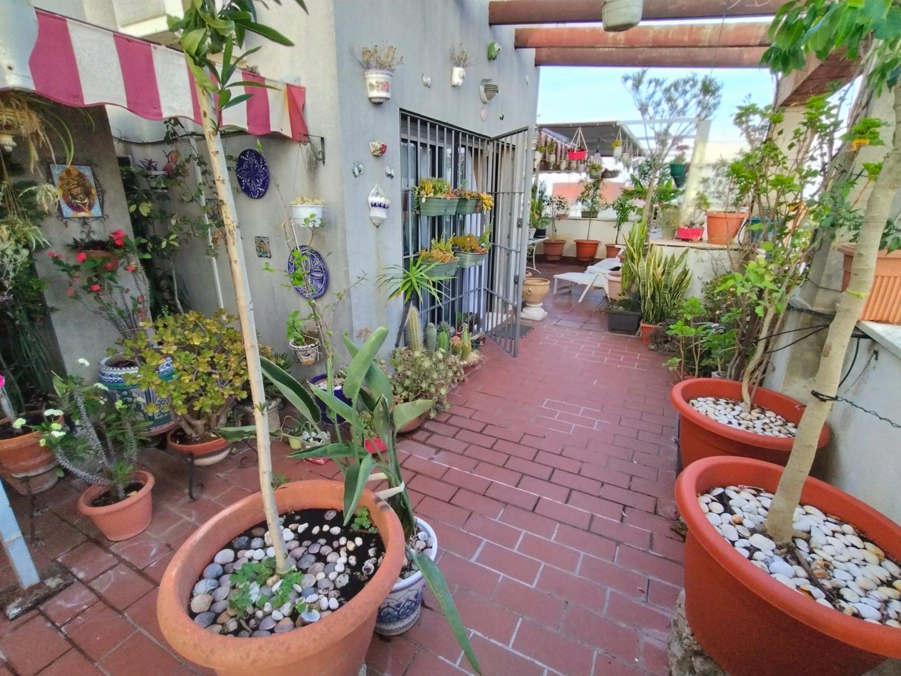 For sale of penthouse in Puerto Real